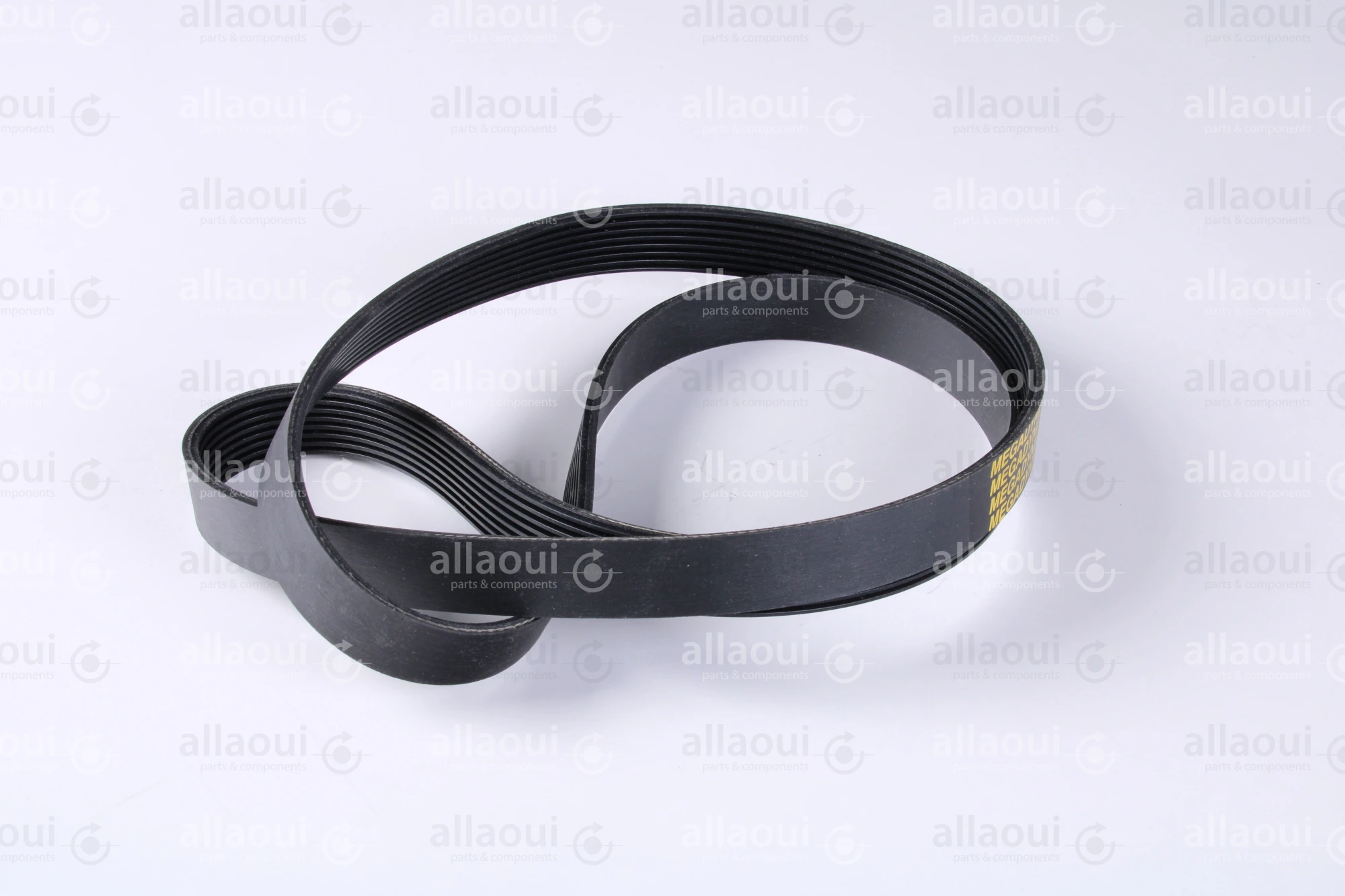 MBO Belt J8-1168 L 0107620