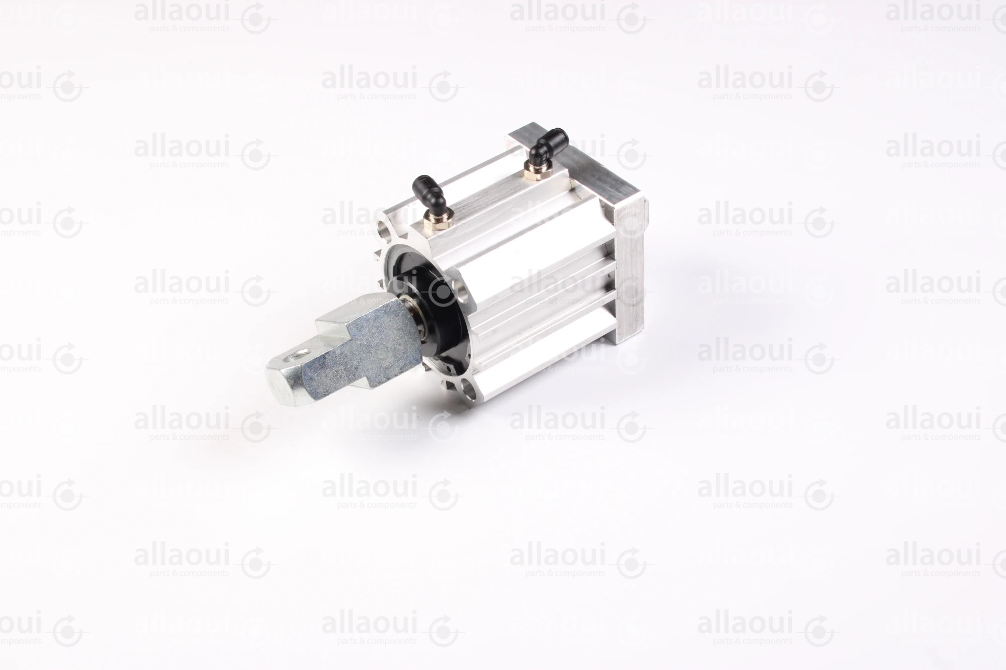 Elettra Pneumatic Cylinder 1026652-00