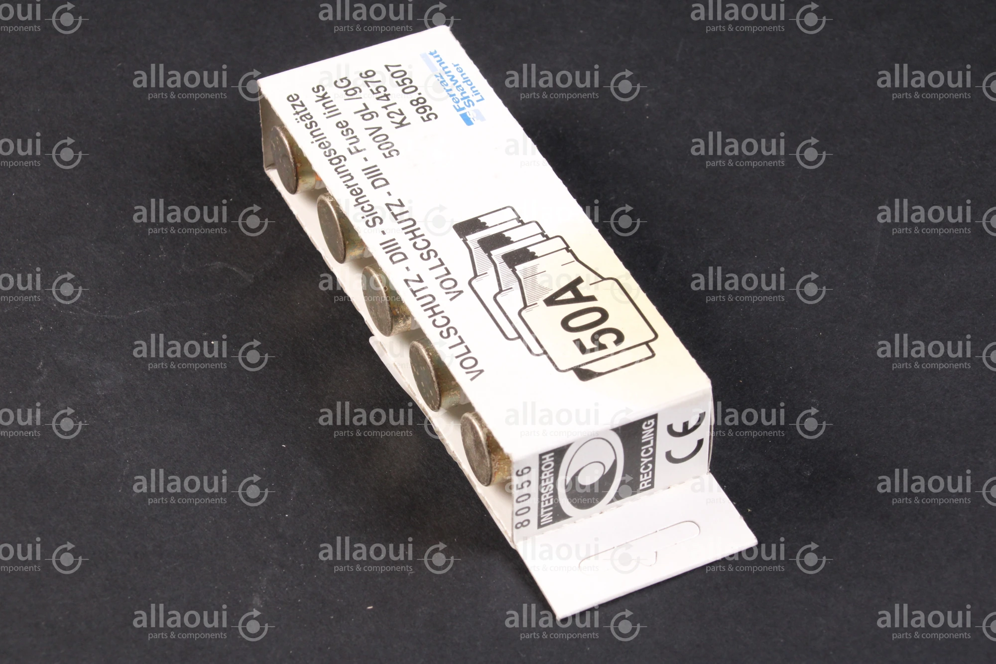 LINDNER DIII-Fuse Links (5 Pieces) 598.0507