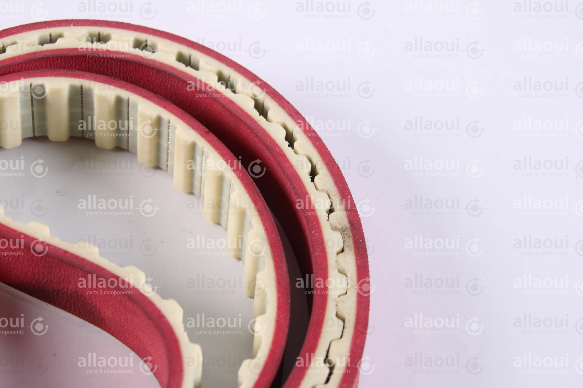 Müller Martini Timing Belt 0448.1713.4