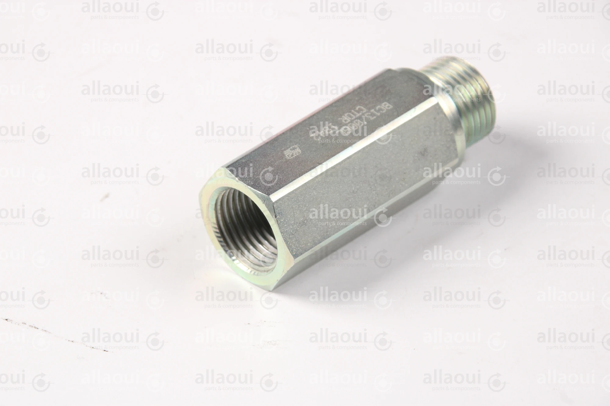 Contiweb Load Holding Valve WH090453655