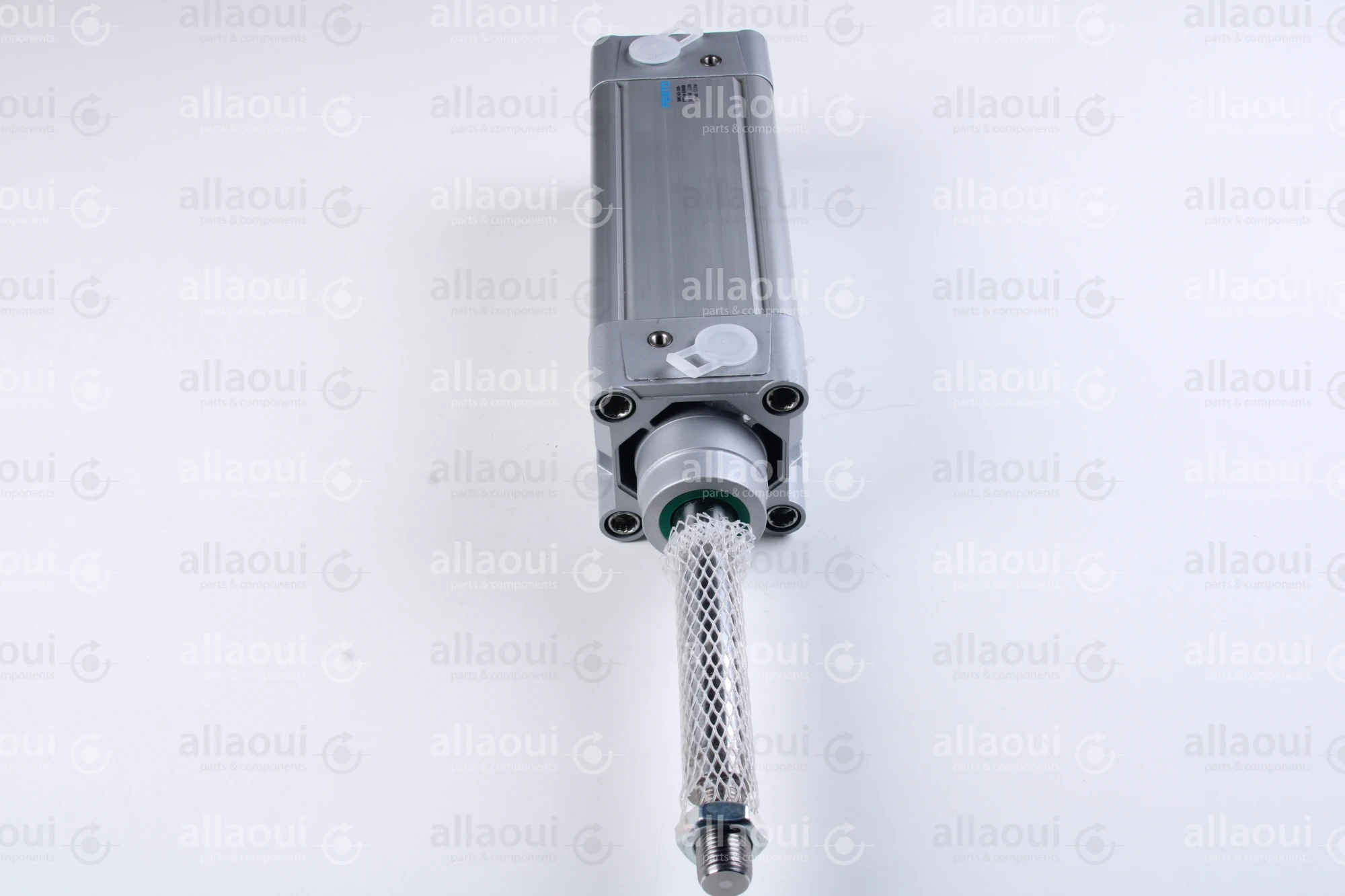 Festo Double acting standard cylinder DNC-63-100-PPV-A-100K8
