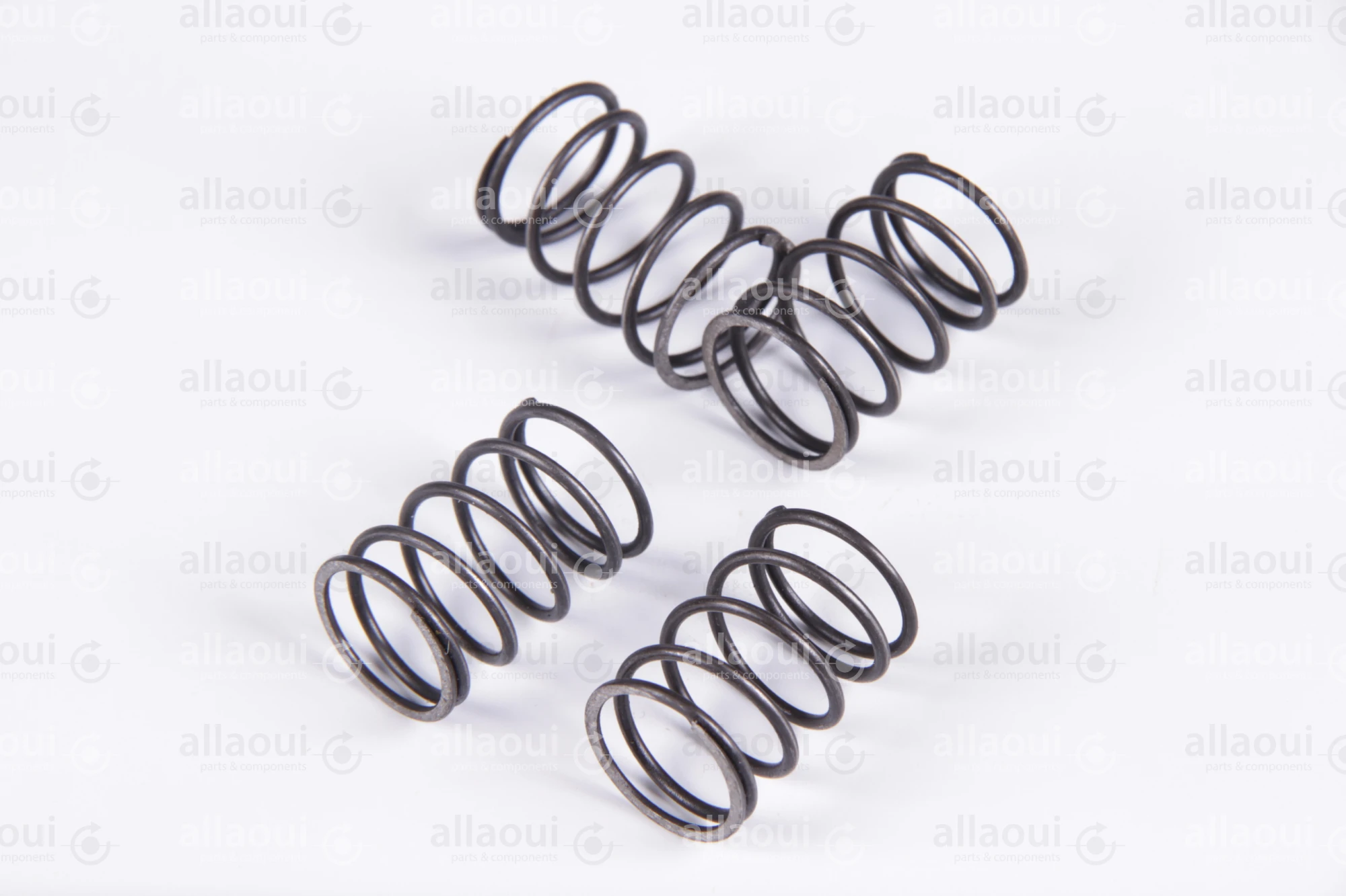 Heidelberg Spring 0034.2558