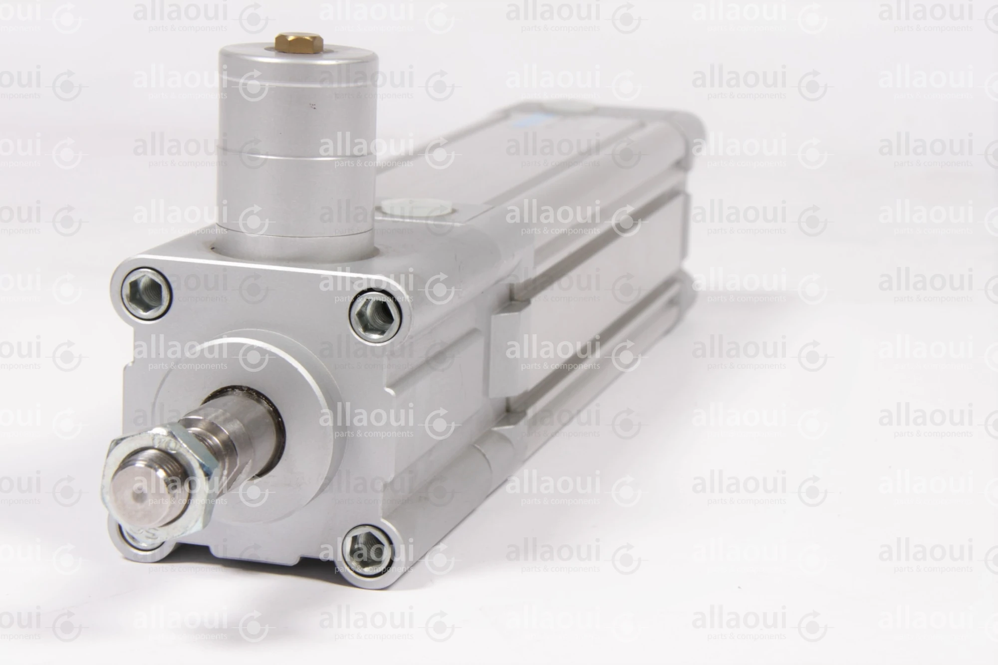 Festo Pneumatic Cylinder DNC-63-160-PPV-A
