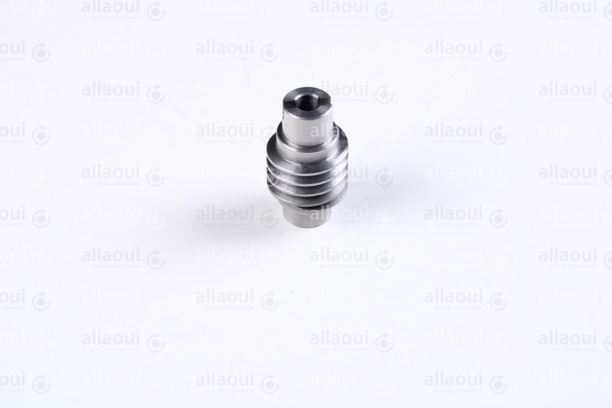 Gämmerler Worm shaft 23599