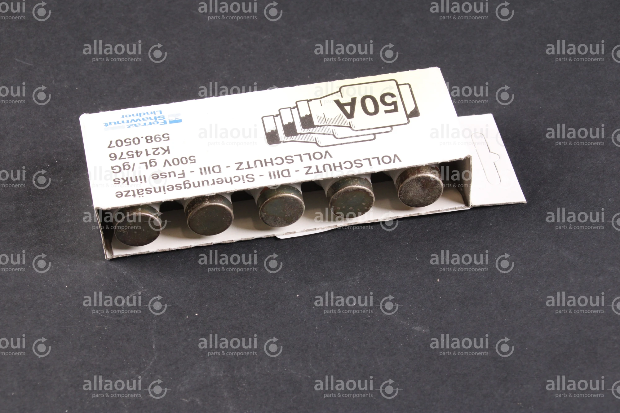 LINDNER DIII-Fuse Links (5 Pieces) 598.0507