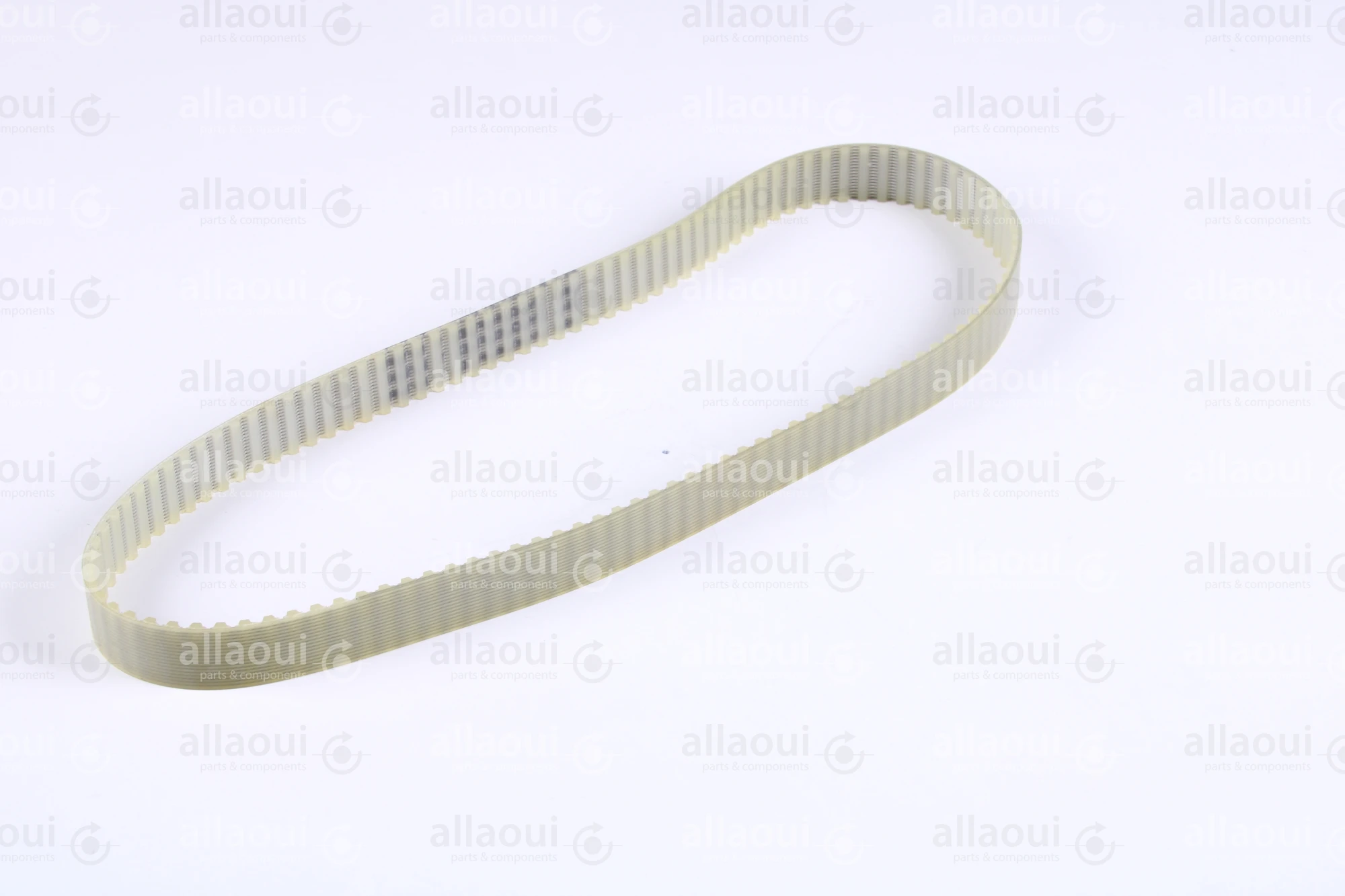 Müller Martini Toothed Belt 16T5/590 3502.1167.4
