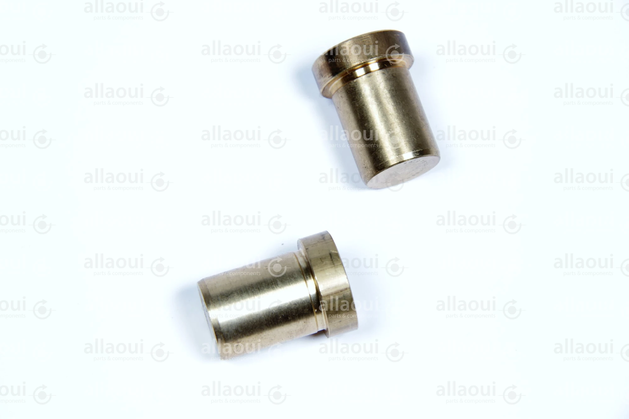 Manroland 007G315613 007G315613