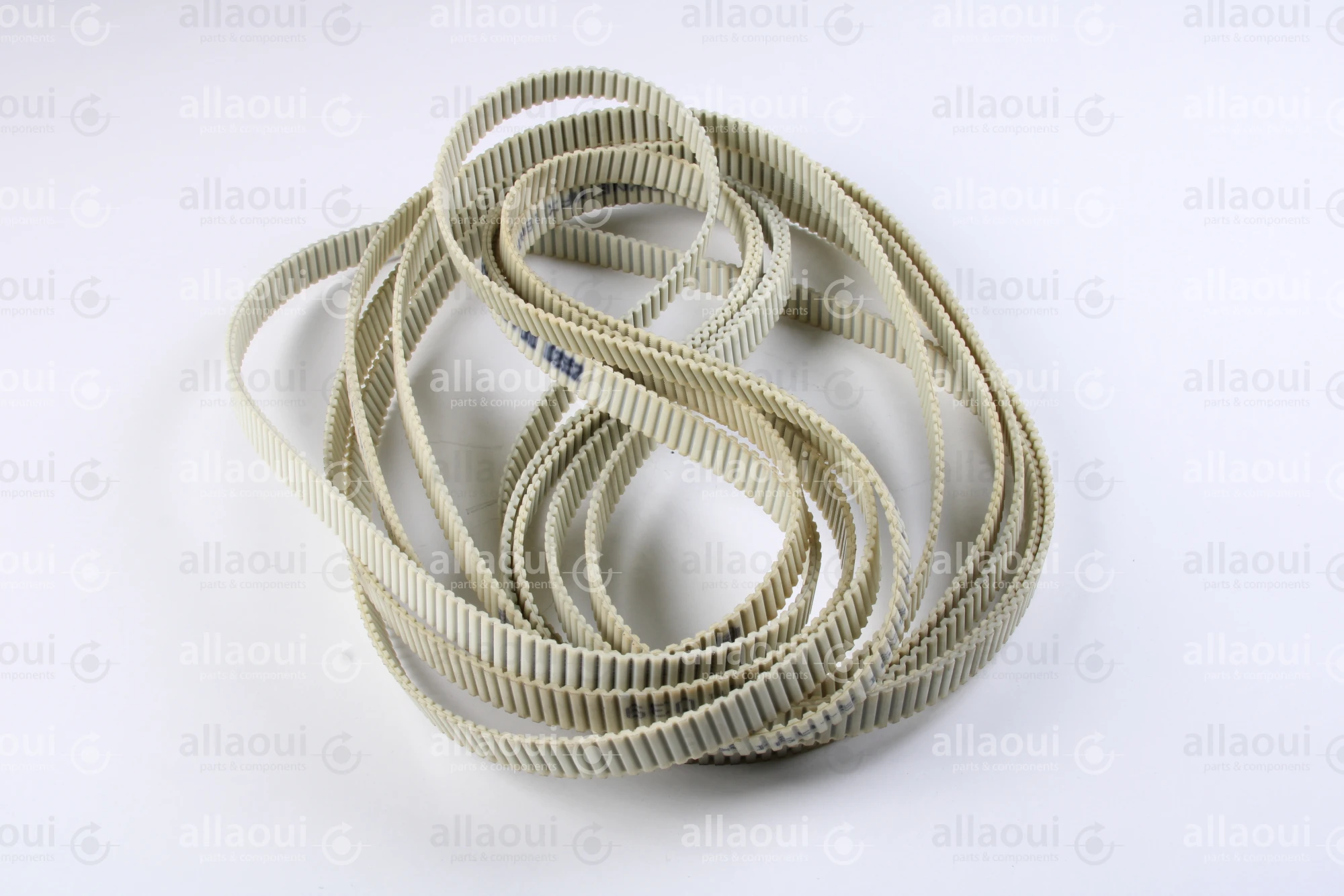 Müller Martini Toothed Belt 3697.3013.4