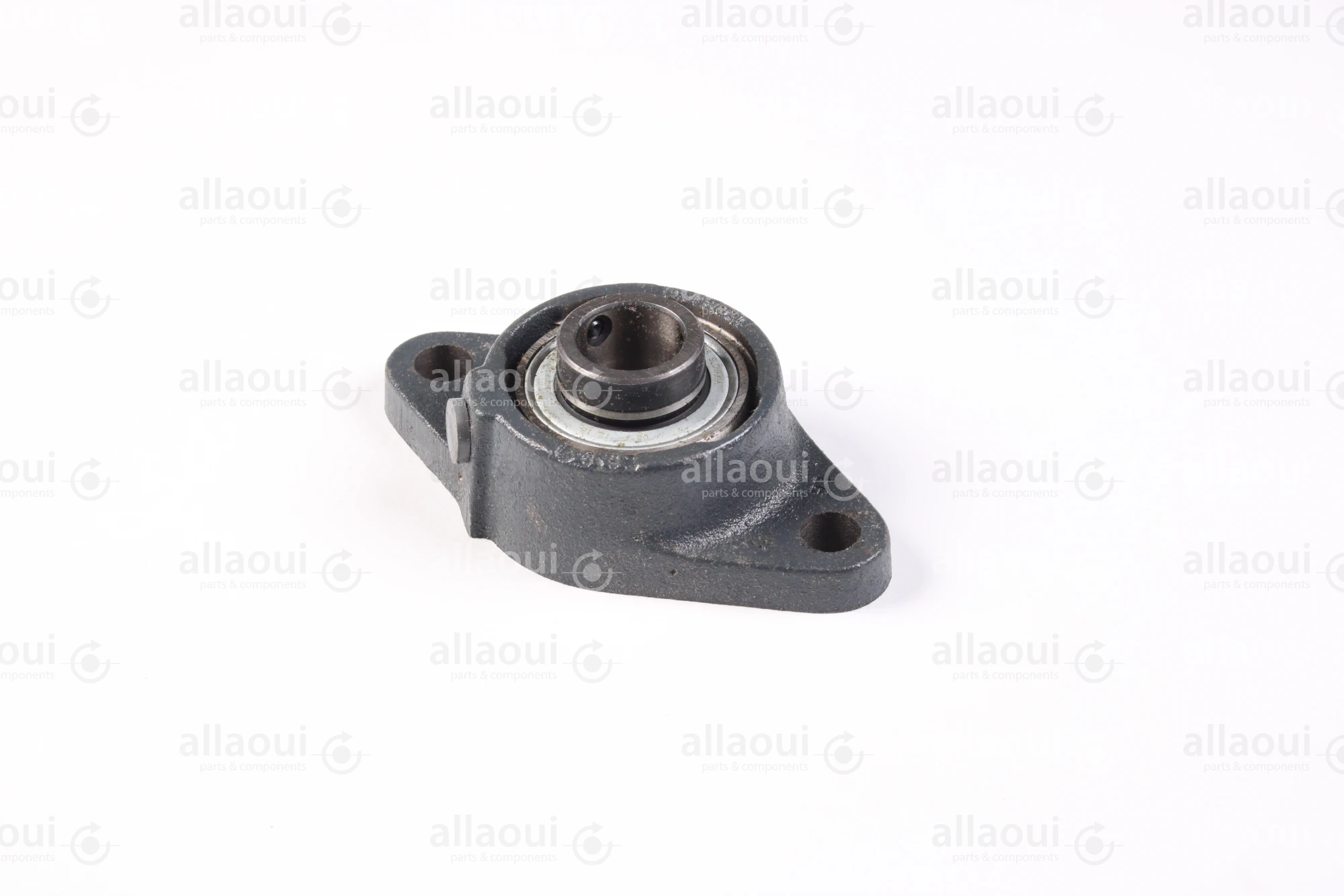 Manroland Two-Bore Flange Bearing Housing Unit 16.97060-5120
