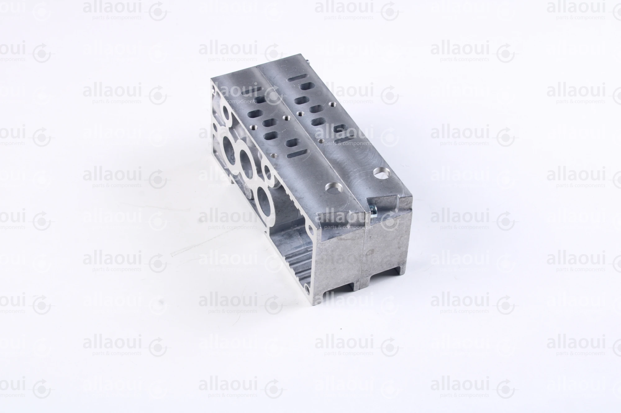 Norgren Double Station G1/4 VS2672502-BGF0