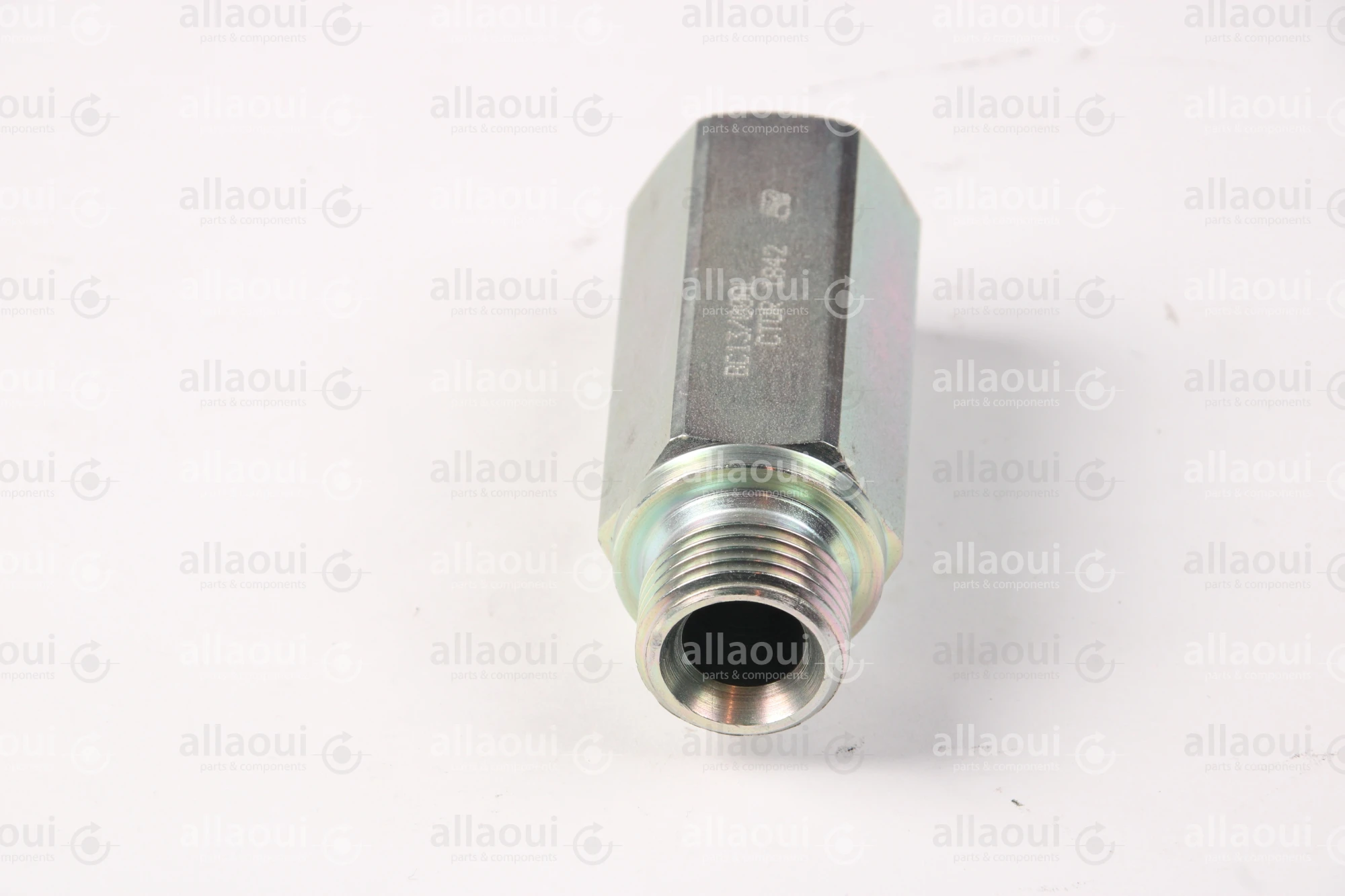 Contiweb Load Holding Valve WH090453655