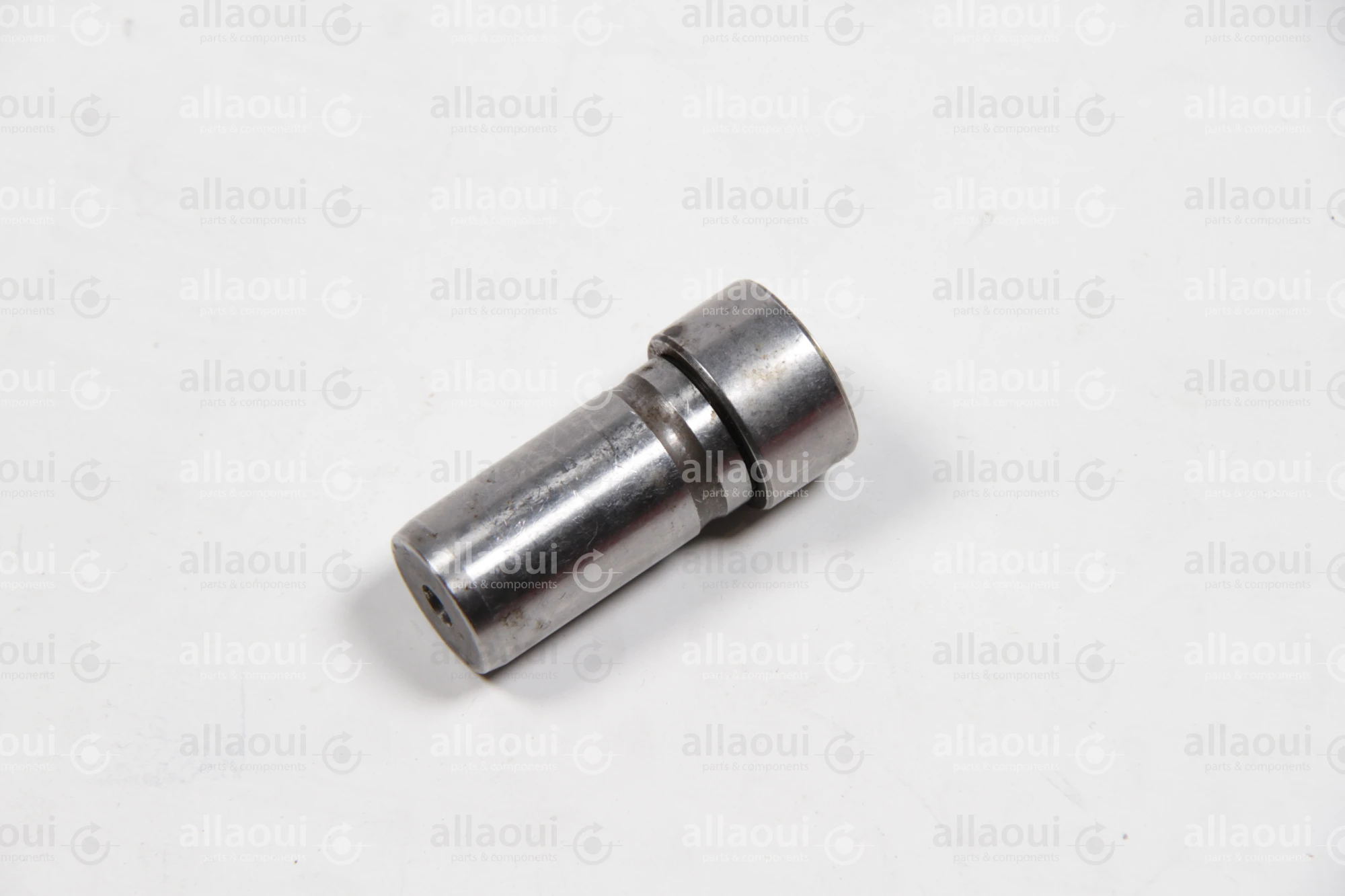 INA Cam Follower F-207624