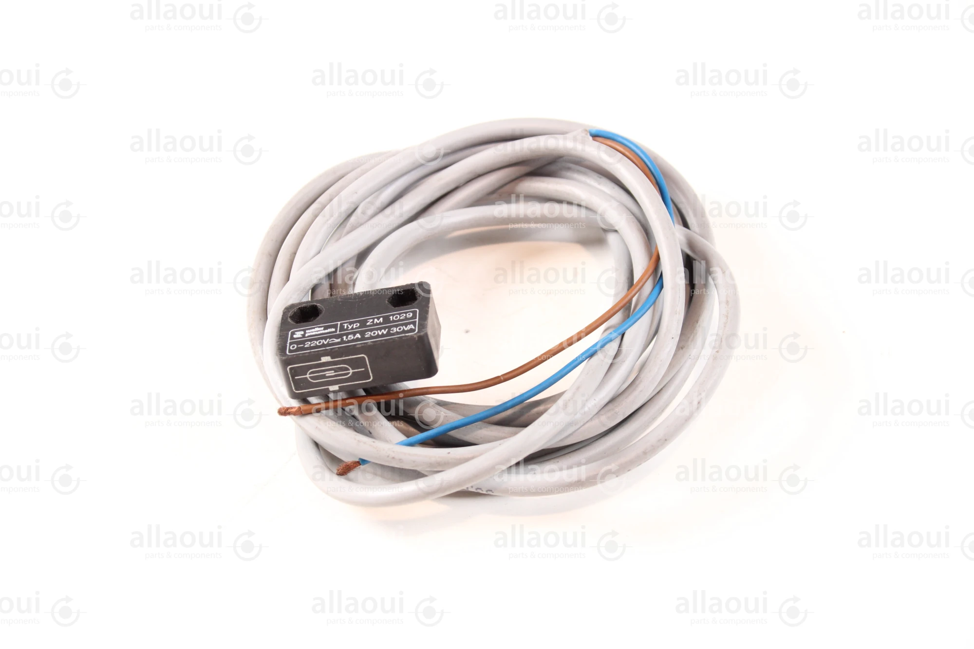 Walter Pneumatik Sensor ZM 1029