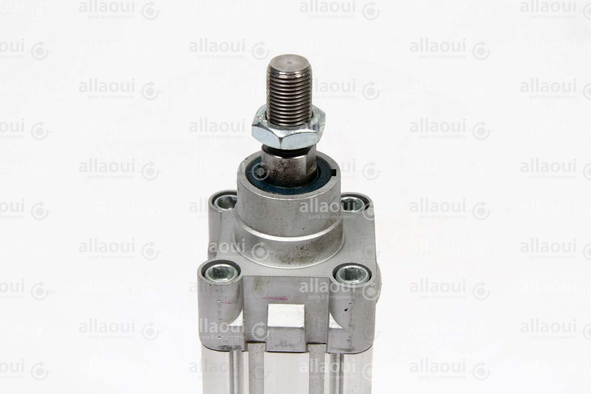 Festo Pneumatic Cylinder DNC-50-80-PPV-A