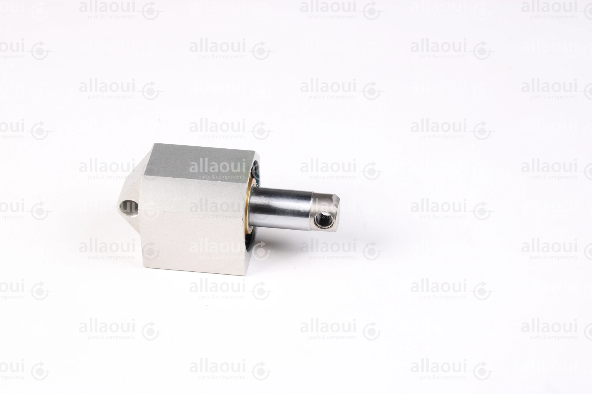 Elettra S.r.l Air Cylinder 1026943-00