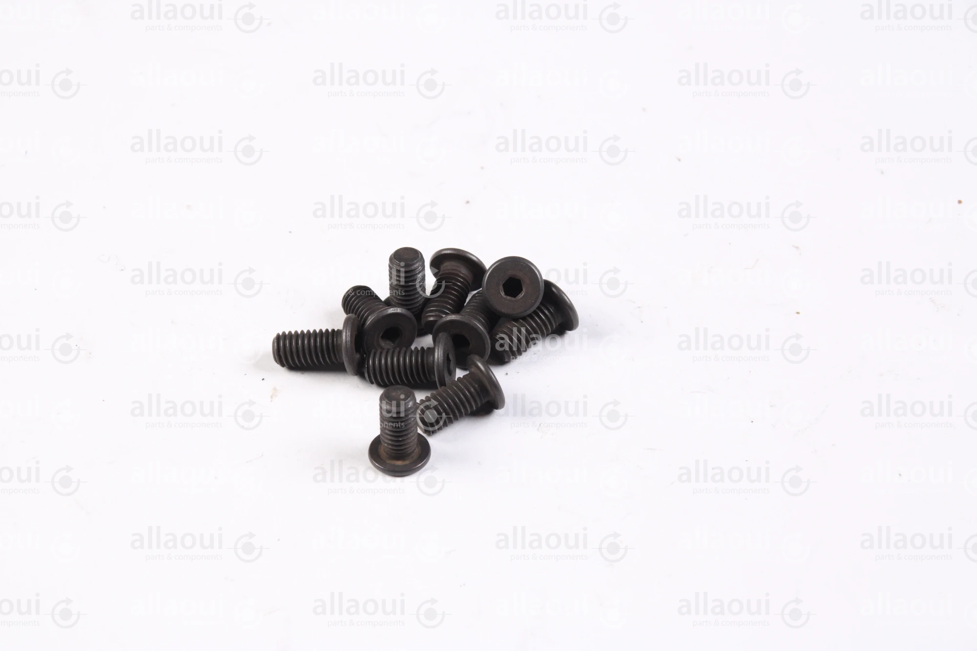 Ferag Cylinder Head Screw (10 Pieces) 1913.406.122