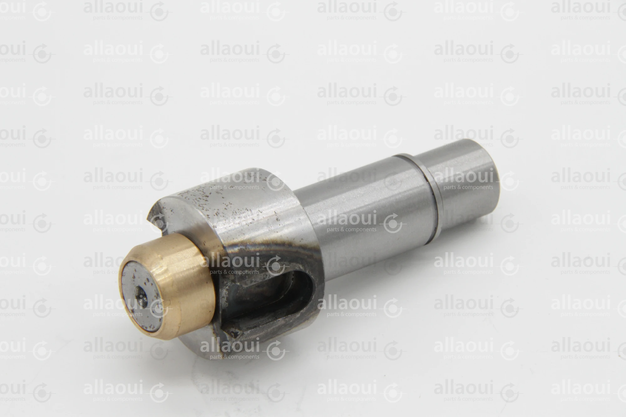 Heidelberg Journal with Bush ZD.234-007-BG-01