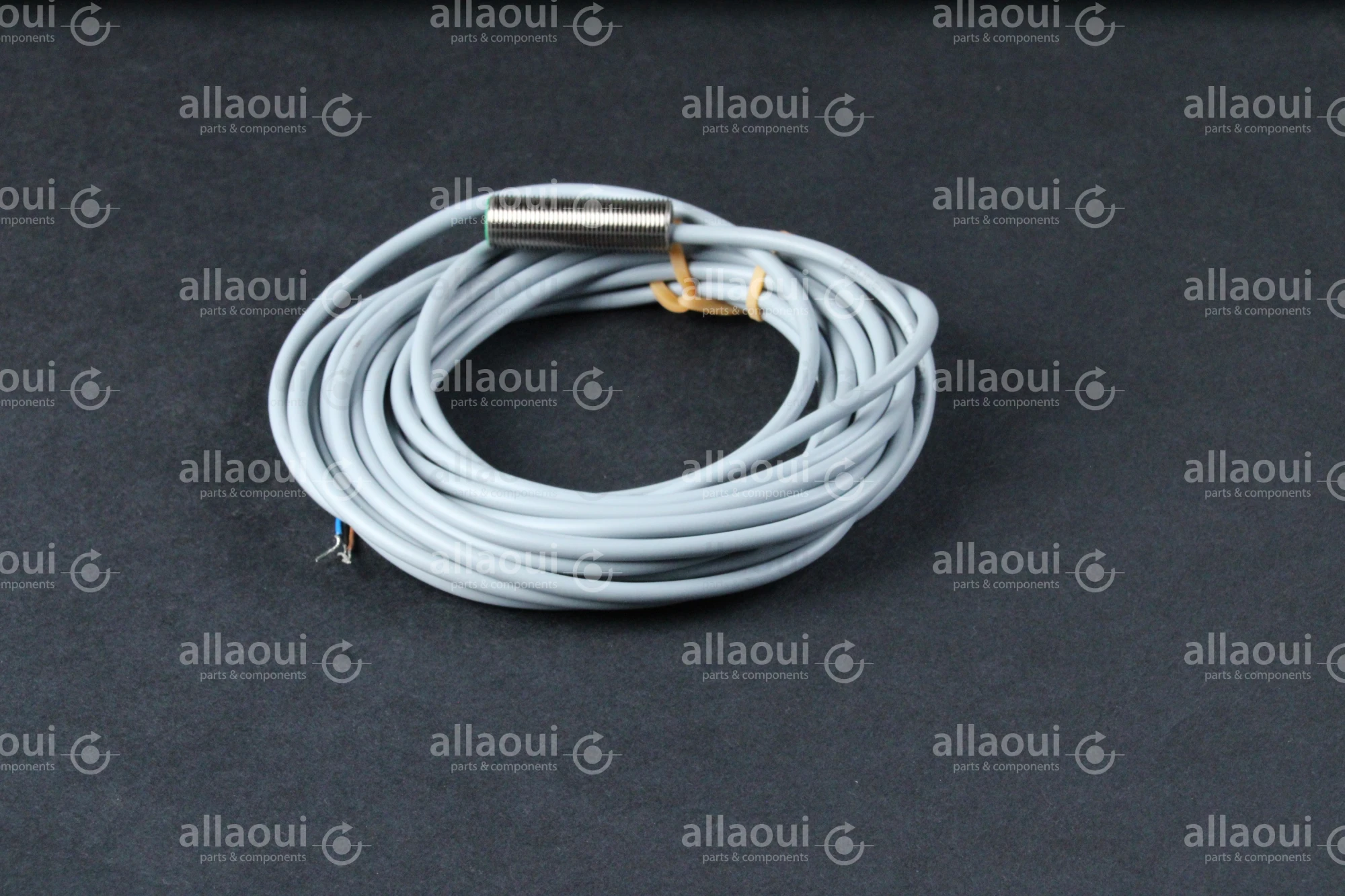 Baumer Inductive Sensor IFRM 12P17/404919