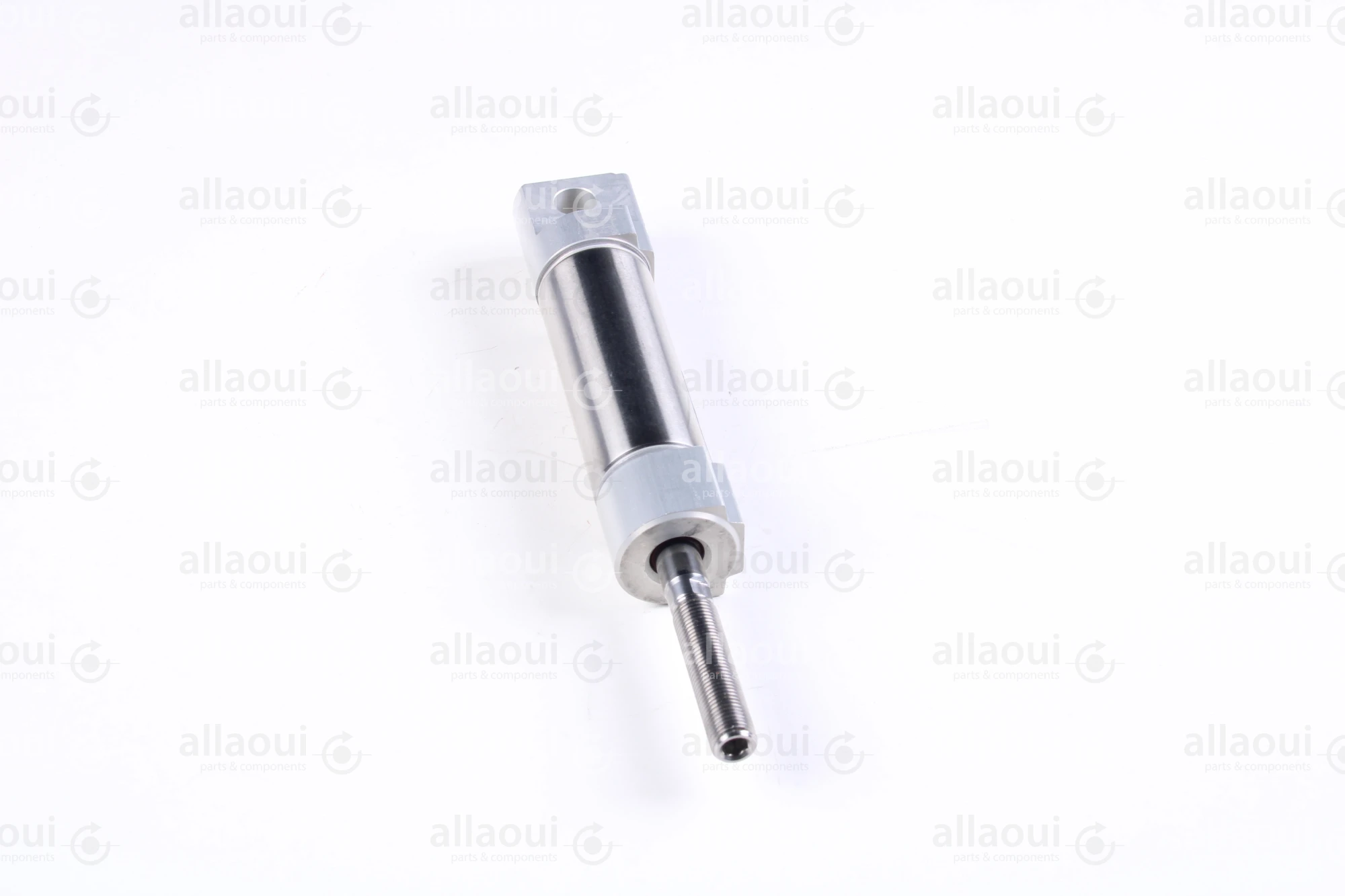 Bosch Rexroth Pneumatic Cylinder 5226039300