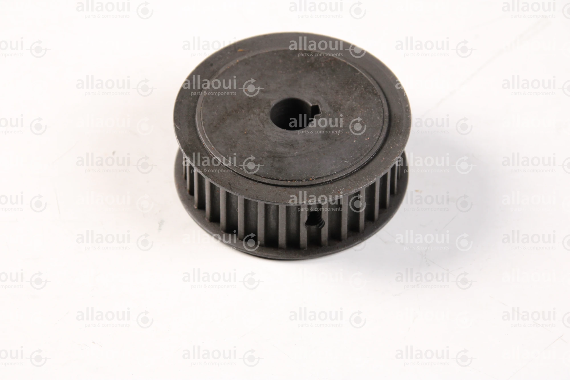 RIMA System Pulley 500621331