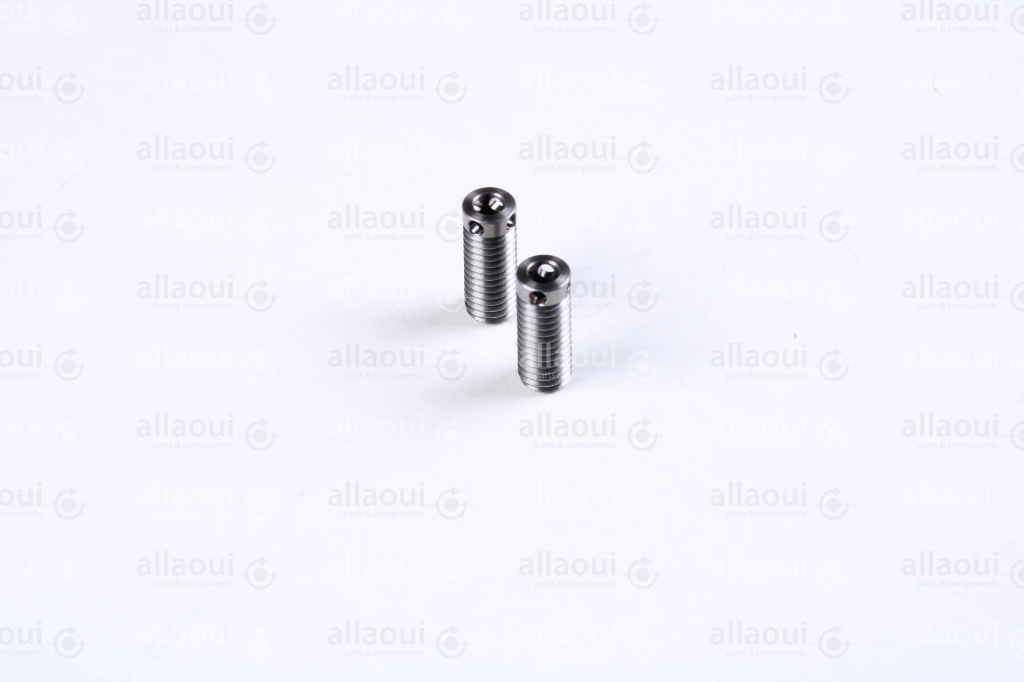 Müller Martini Screw (2 Pieces) 3675.2556.4 (2 Stück)