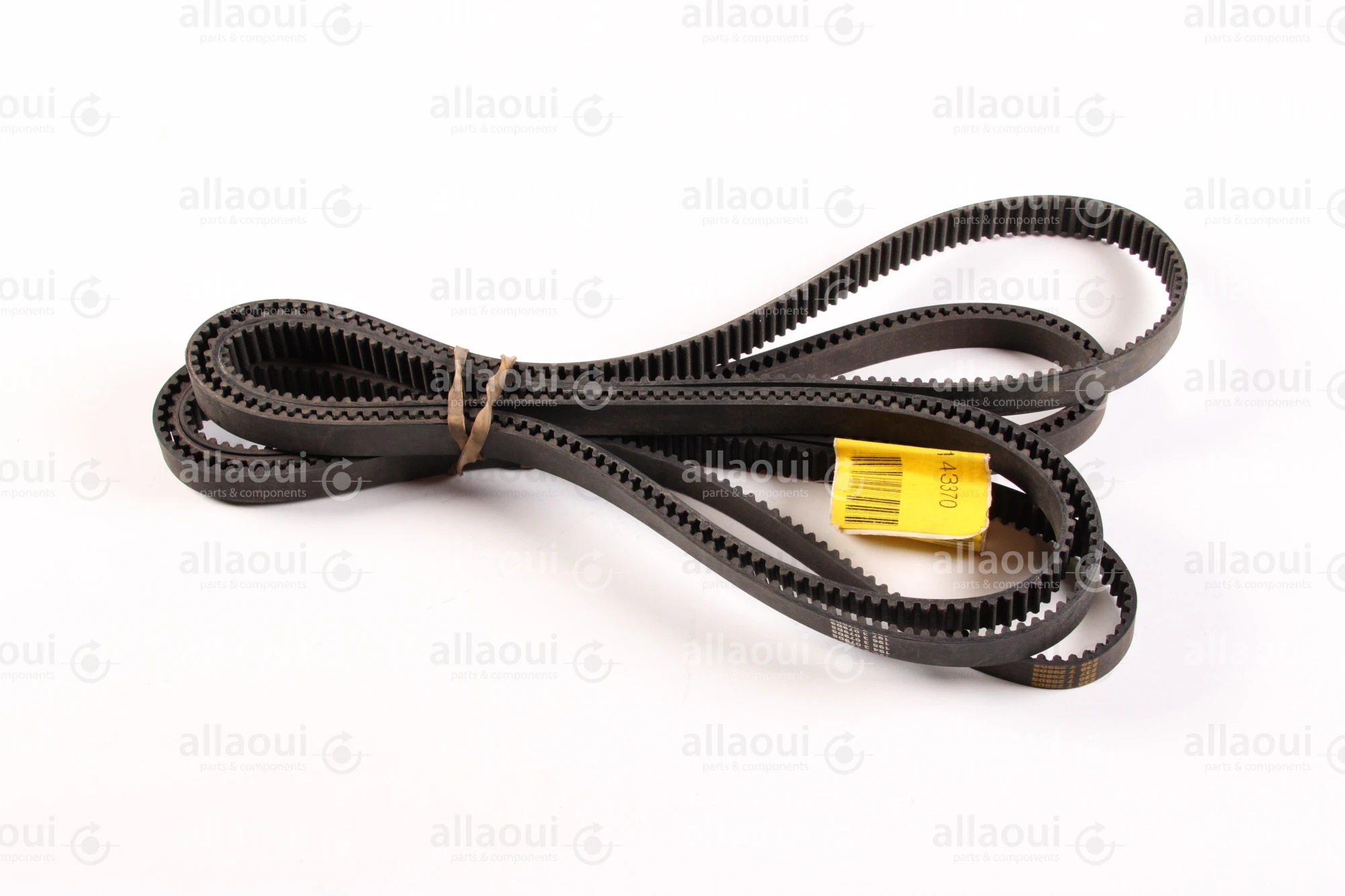 Horizon Toothed Belt 9400-55204