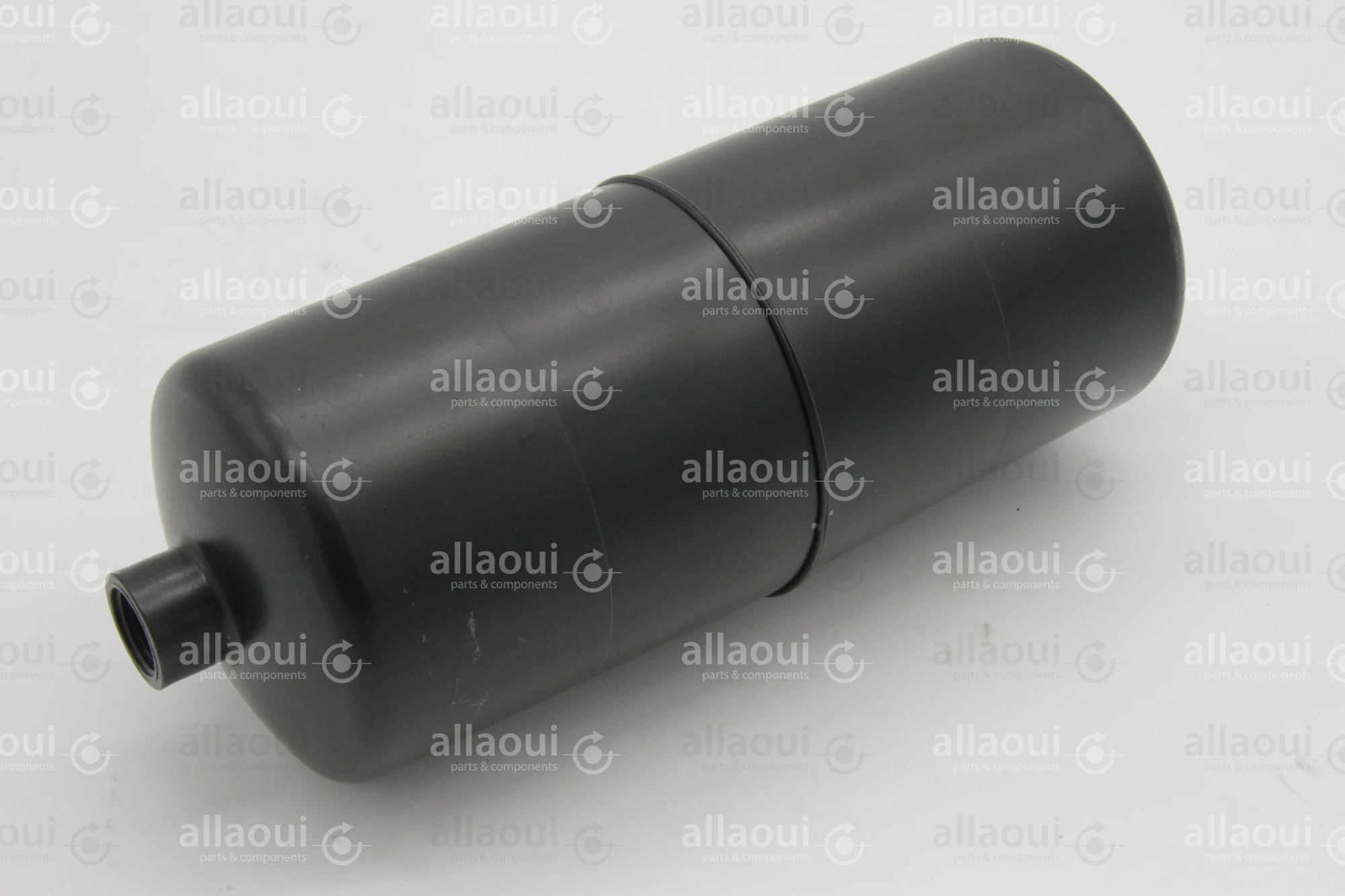 Heidelberg Tank F2018253