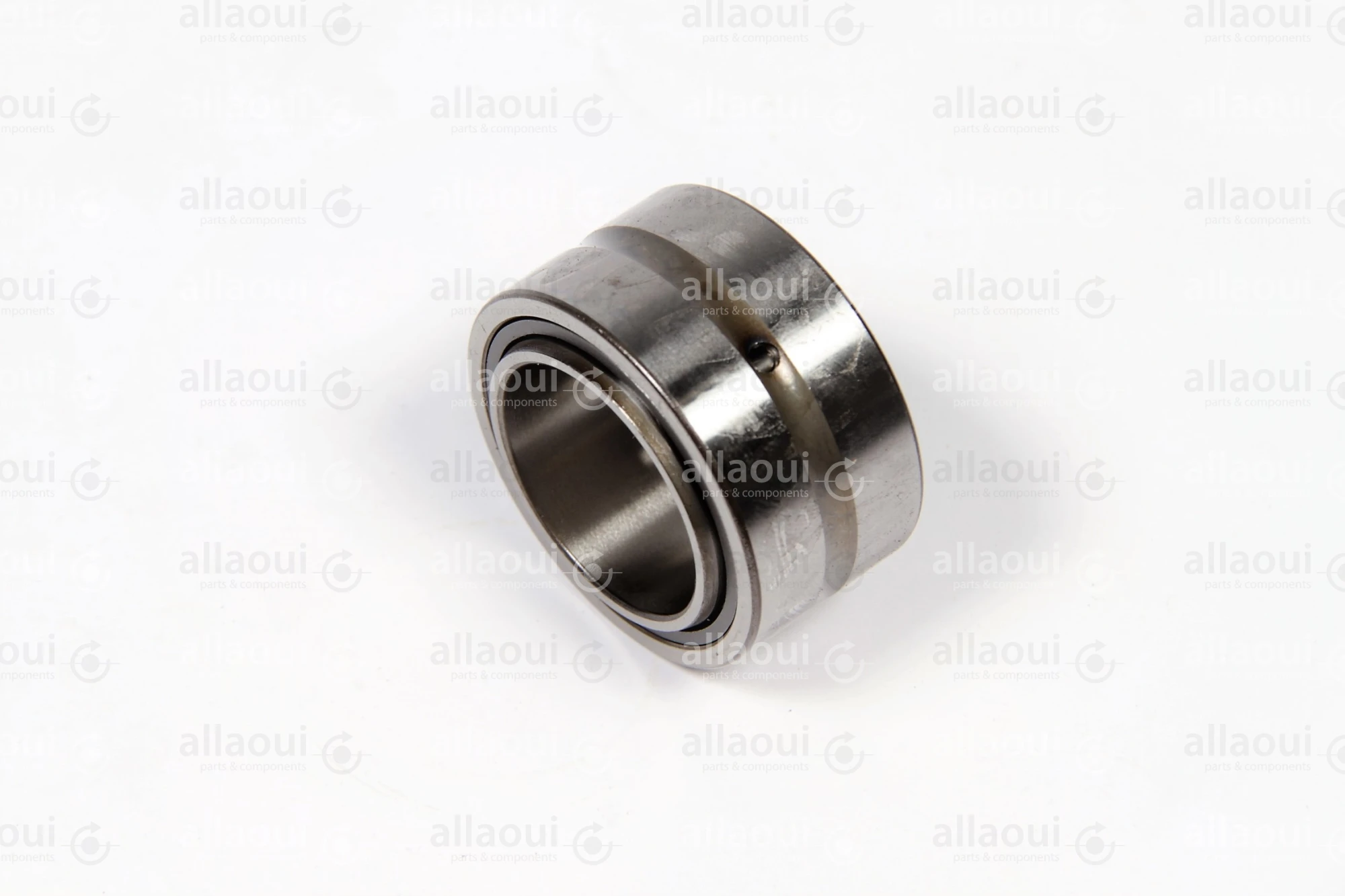 INA Roller Bearing NKI25/20