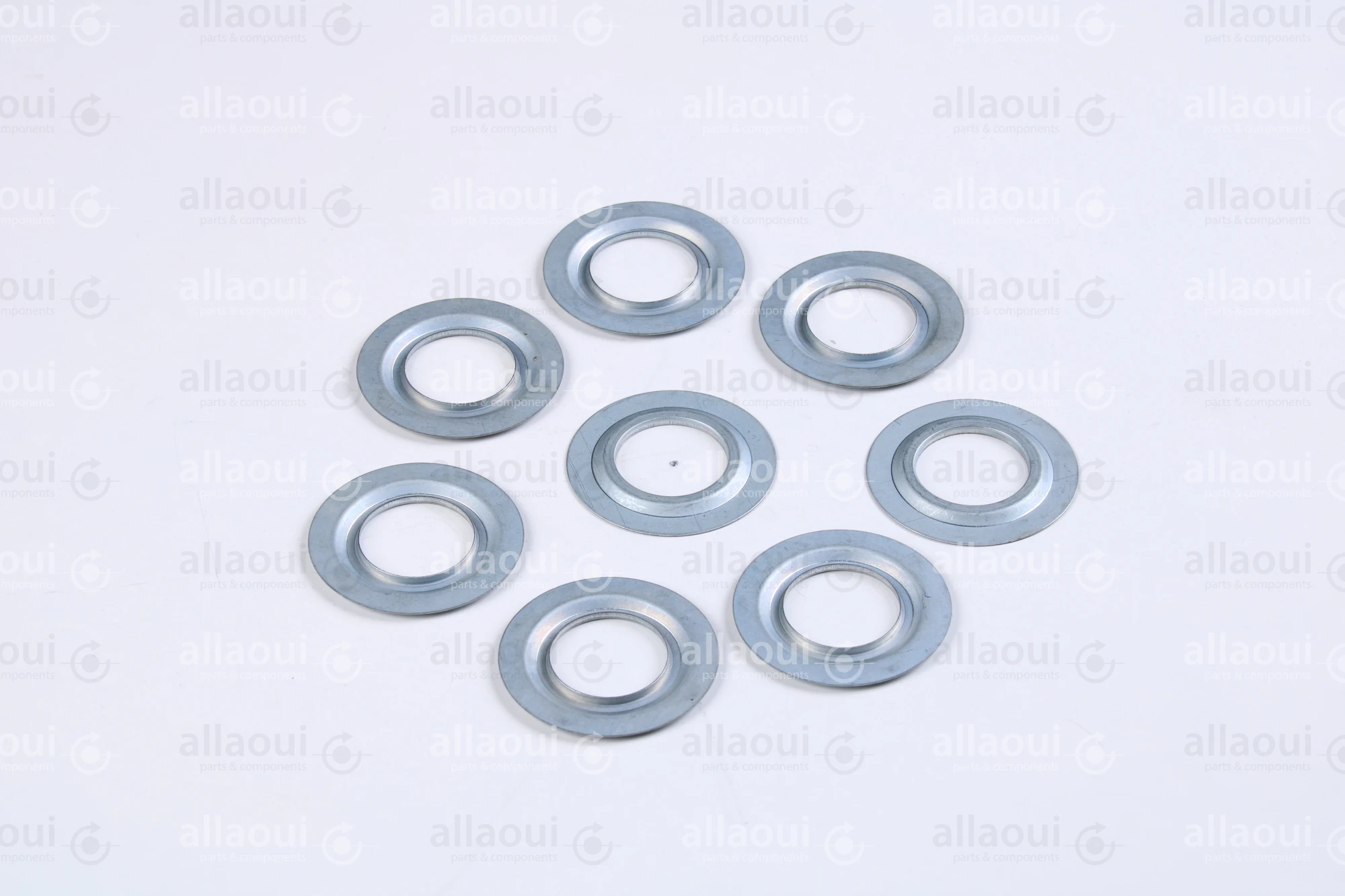 Müller Martini Sealing Ring 6202JV (8 Pieces) 0035.1767