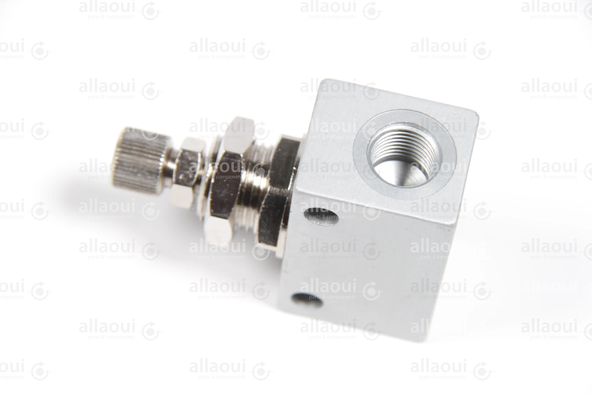 Riegler Valve 225.34