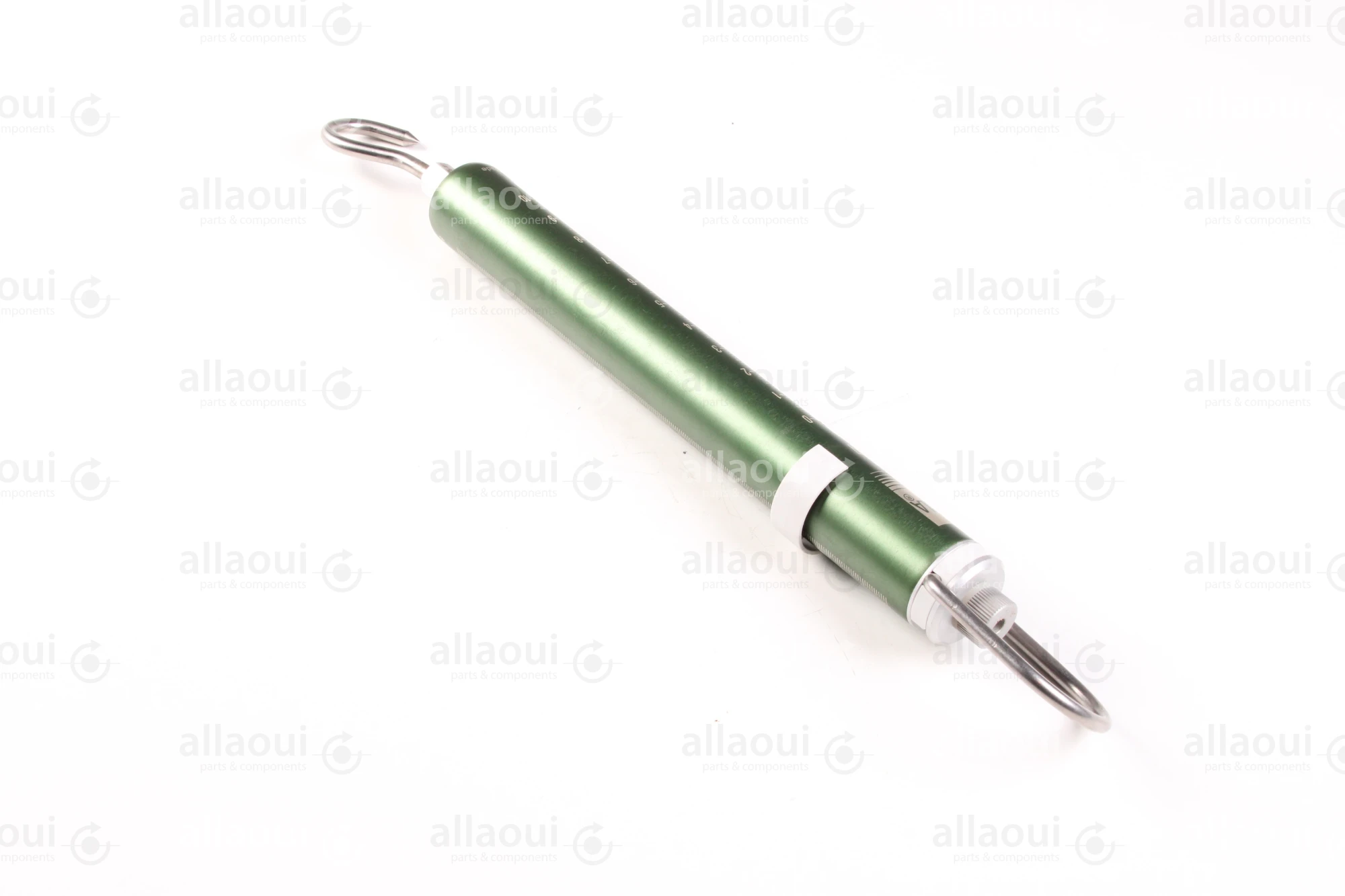 Pesola PESOLA Precise spring scale 80010