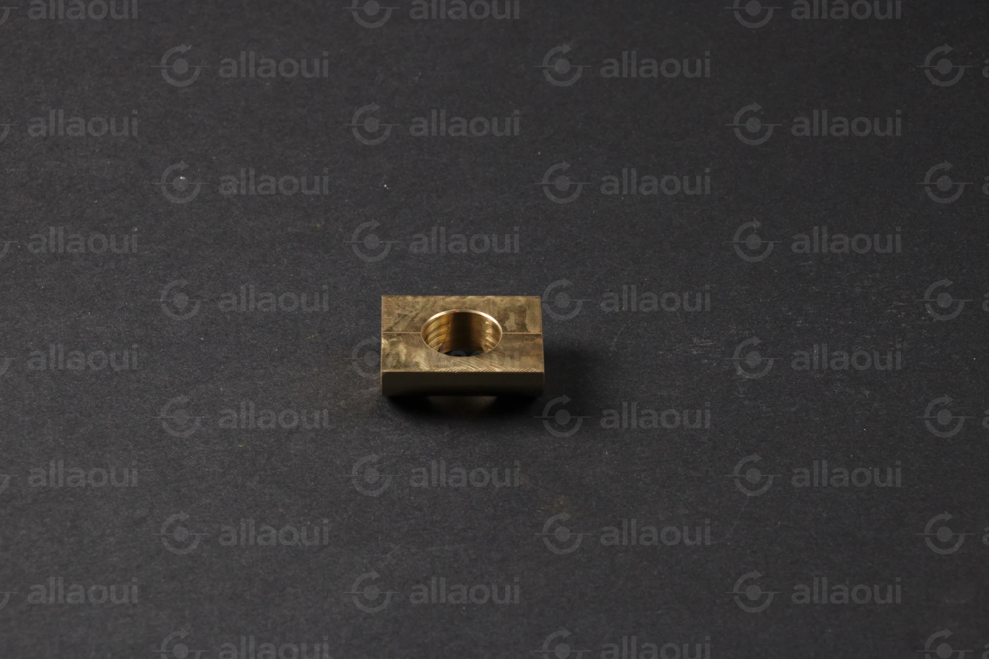 Manroland Segment 16.31440-0004