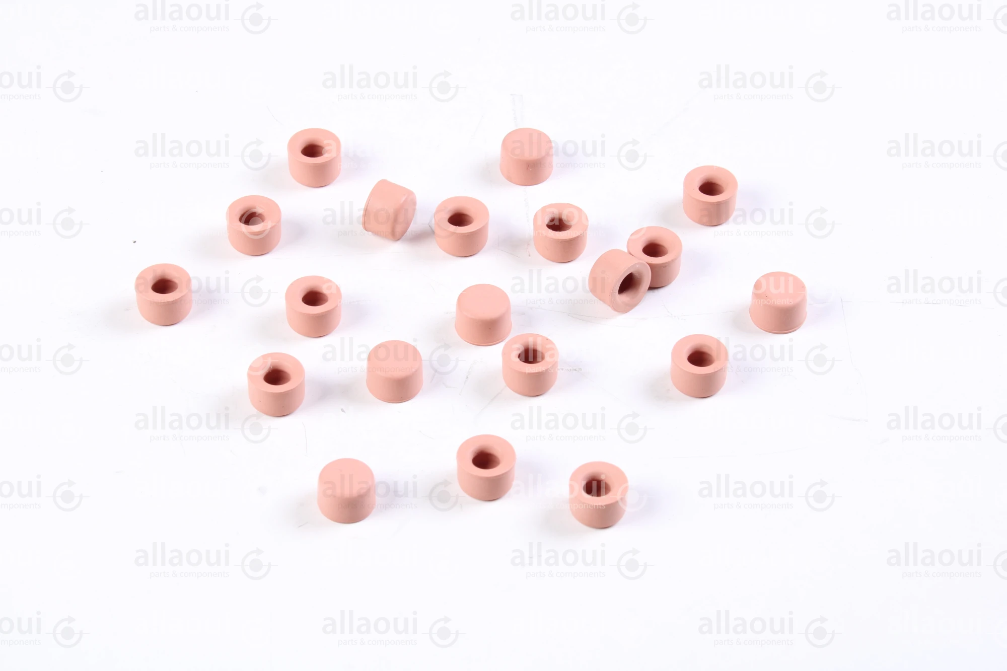 Müller Martini Cap 6/12x8 (20 Pieces) 0020.1901