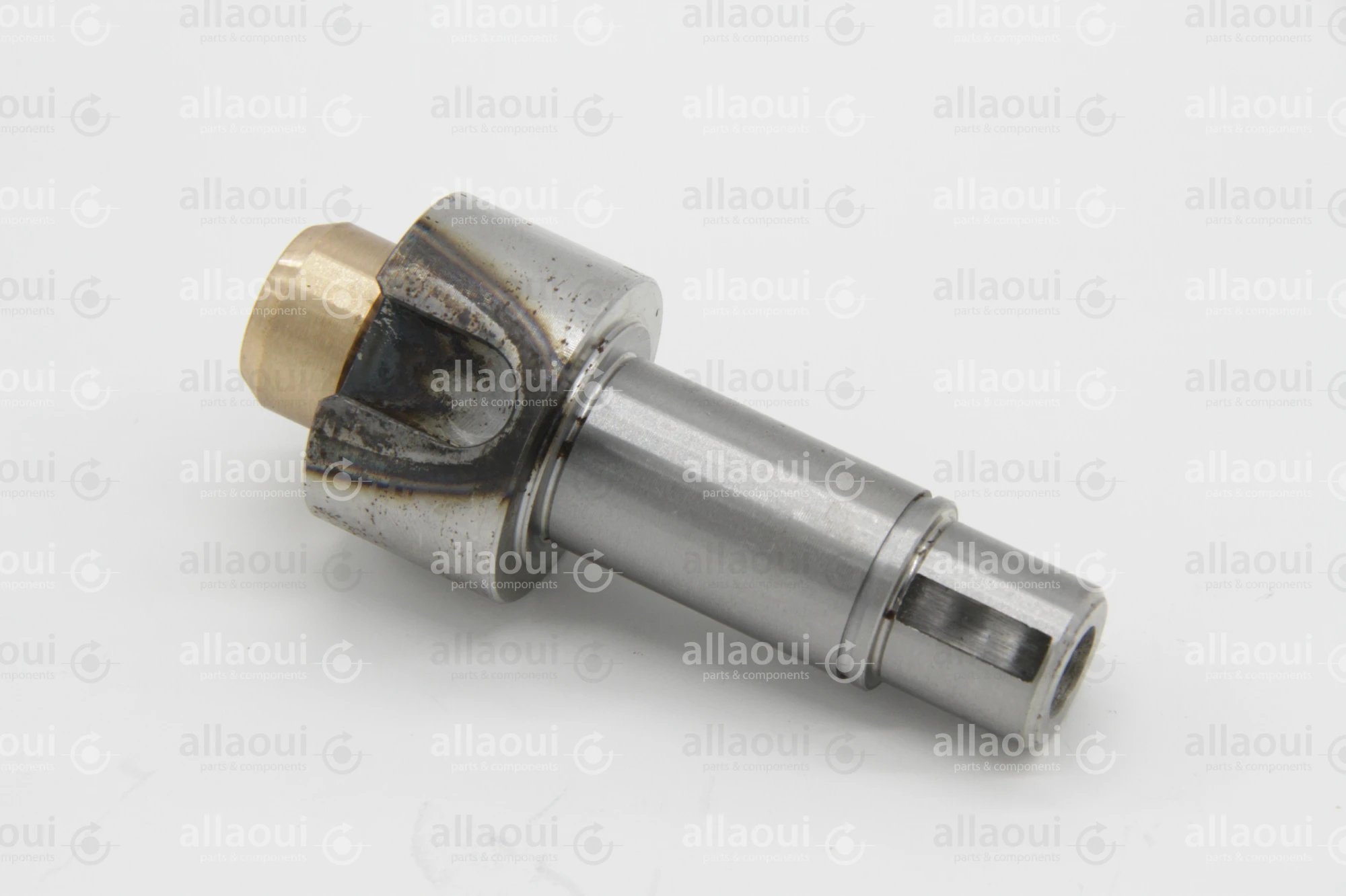 Heidelberg Journal with Bush ZD.234-007-BG-01