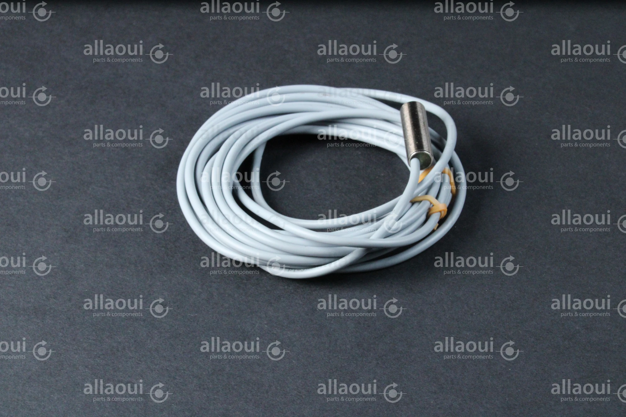 Baumer Inductive Sensor IFRM 12P17/404919