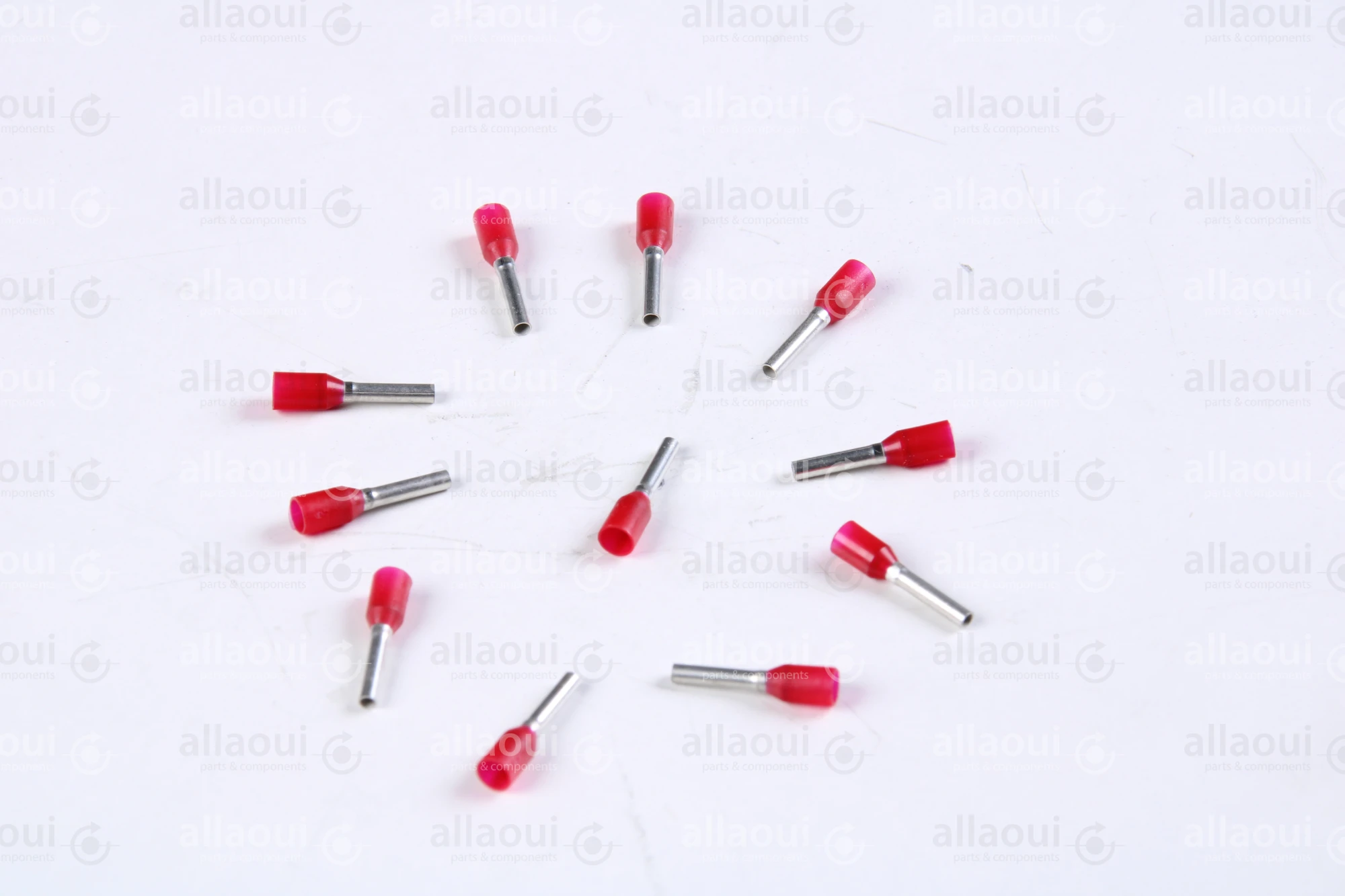 Koenig & Bauer (KBA) End-Fitting (11 Pieces) L0721812