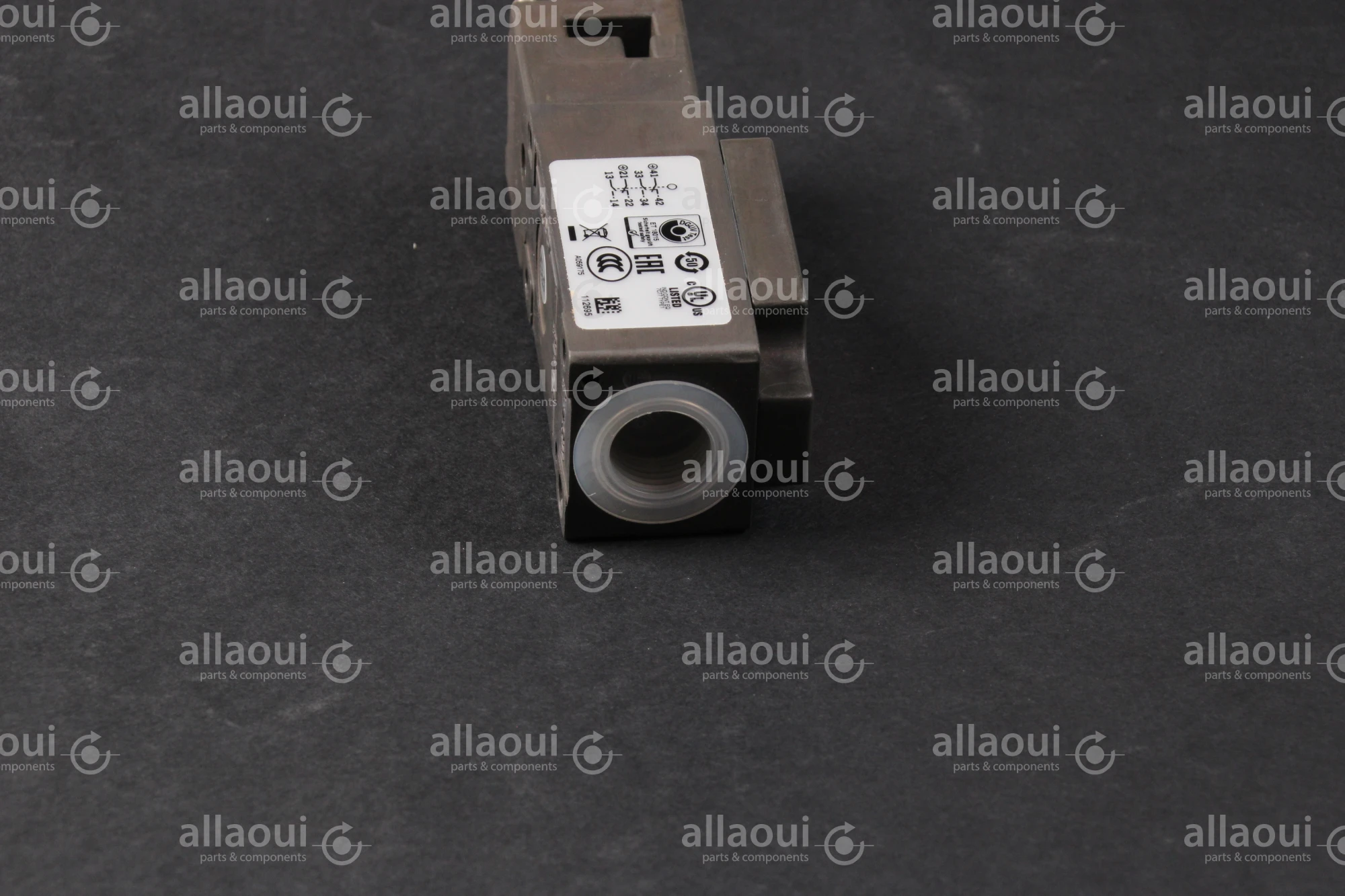Euchner Safety Switch NZ1VZ-3131E-M