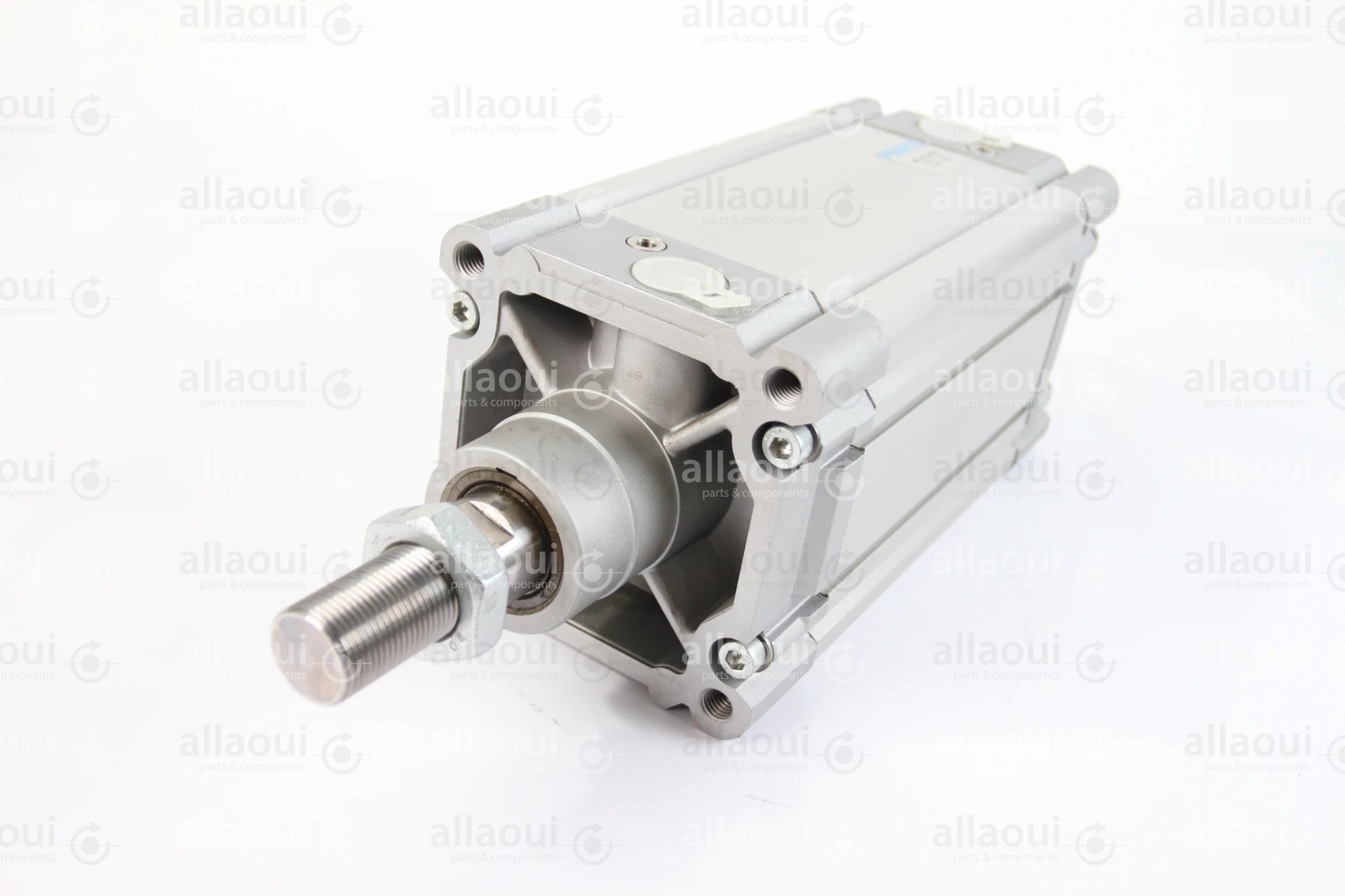 Festo Pneumatic Cylinder DNC-125-120-PPV