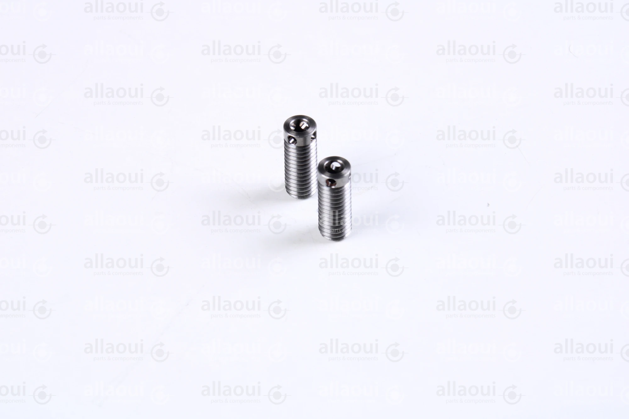 Müller Martini Screw (2 Pieces) 3675.2556.4 (2 Stück)