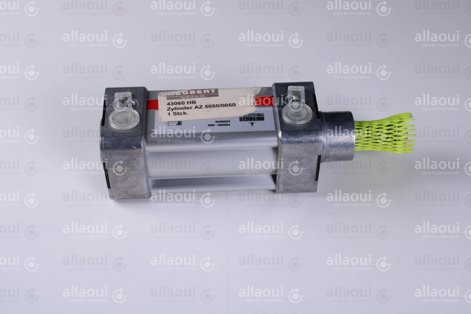 Segbert Pneumatic Cylinder AZ 5050/00050 43060 HB
