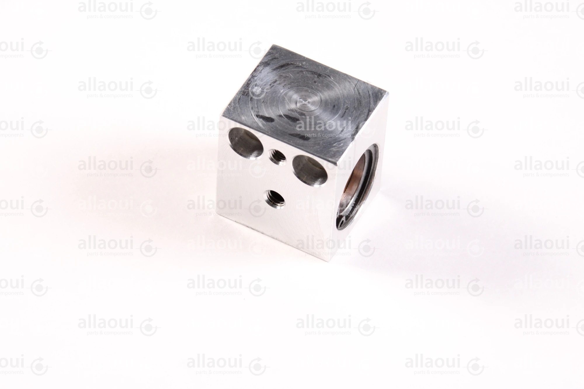 Aster Europe GmbH Guide G972552