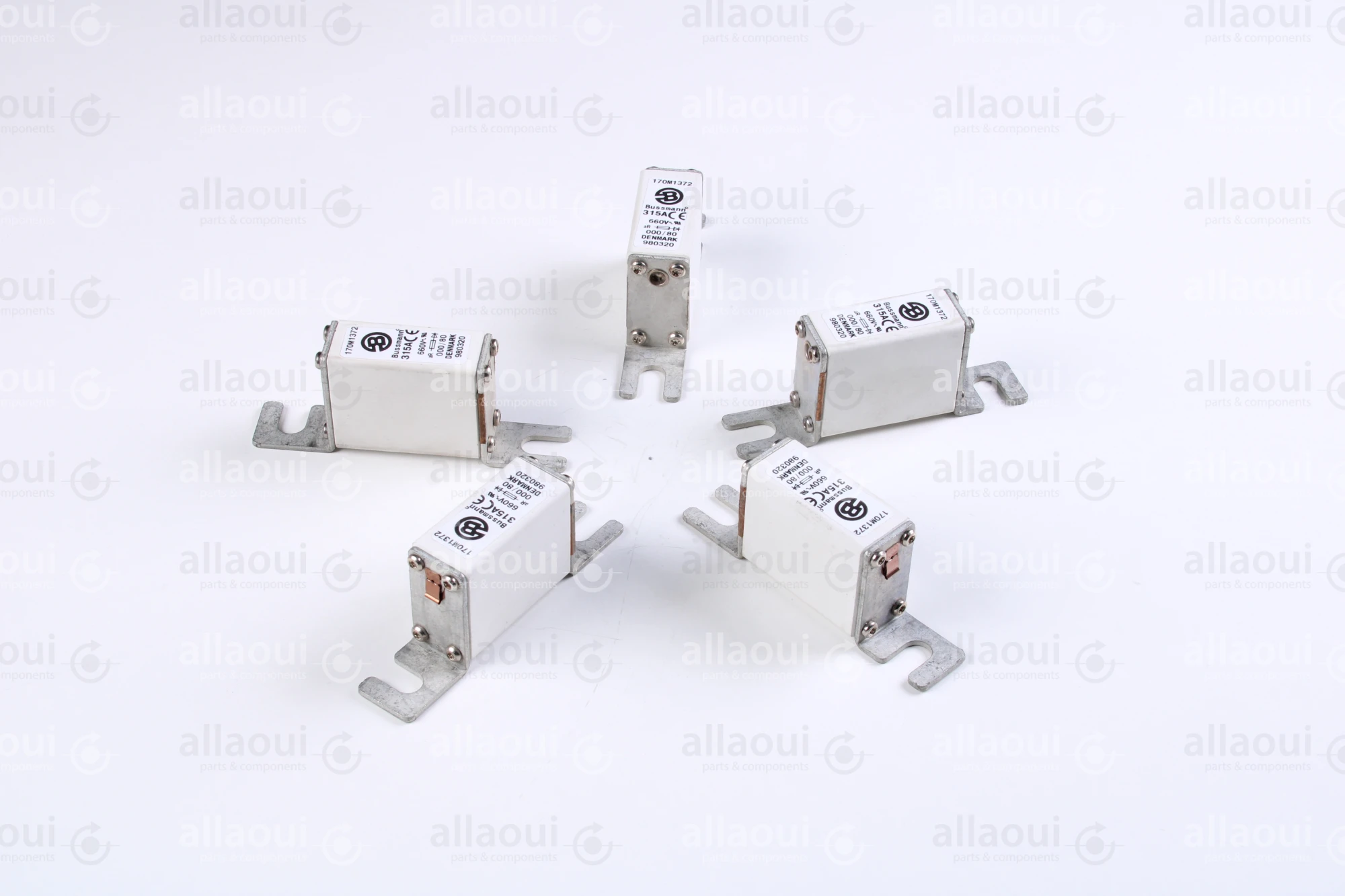 Bussmann Fuse 315A 660V (5 Pieces) 170 M 1372