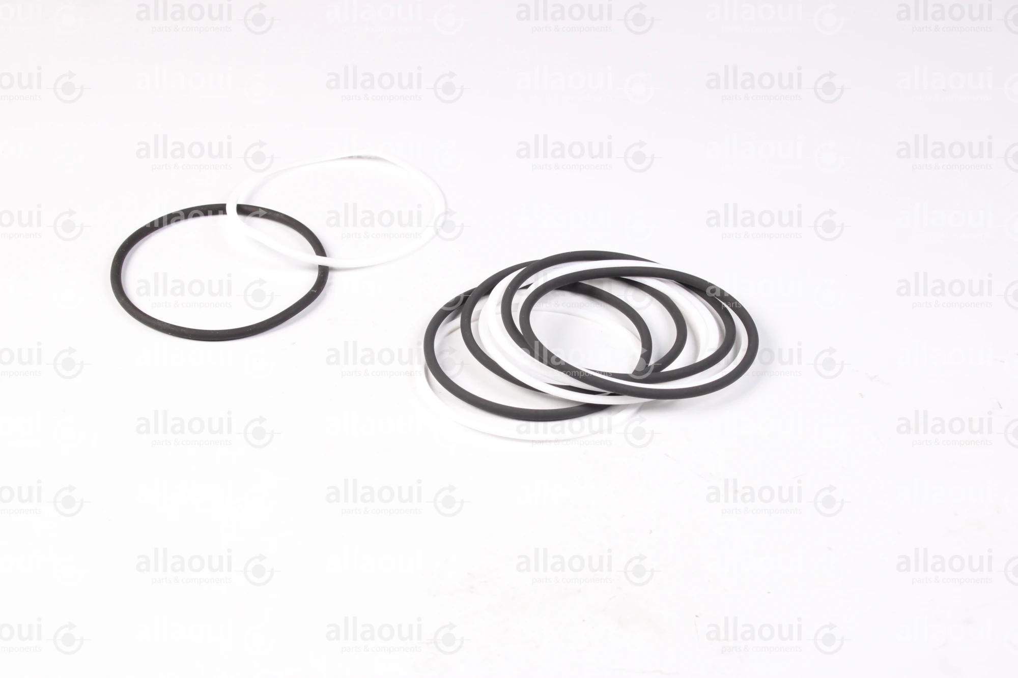 Technotrans Sealing Kit SF045 (5 Pieces) 0005524