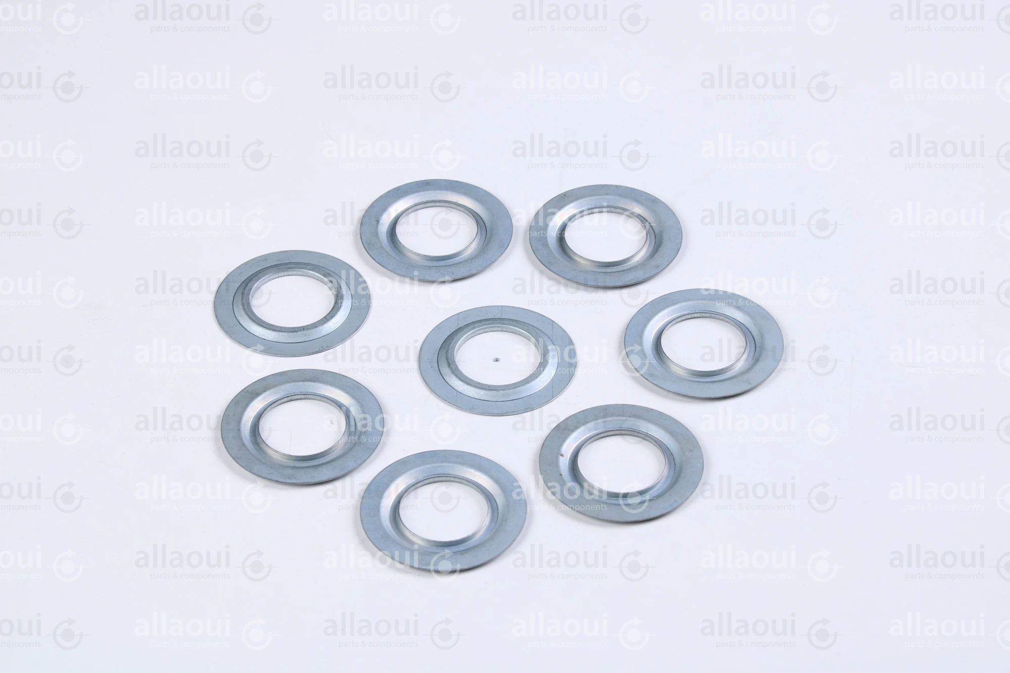Müller Martini Sealing Ring 6202JV (8 Pieces) 0035.1767