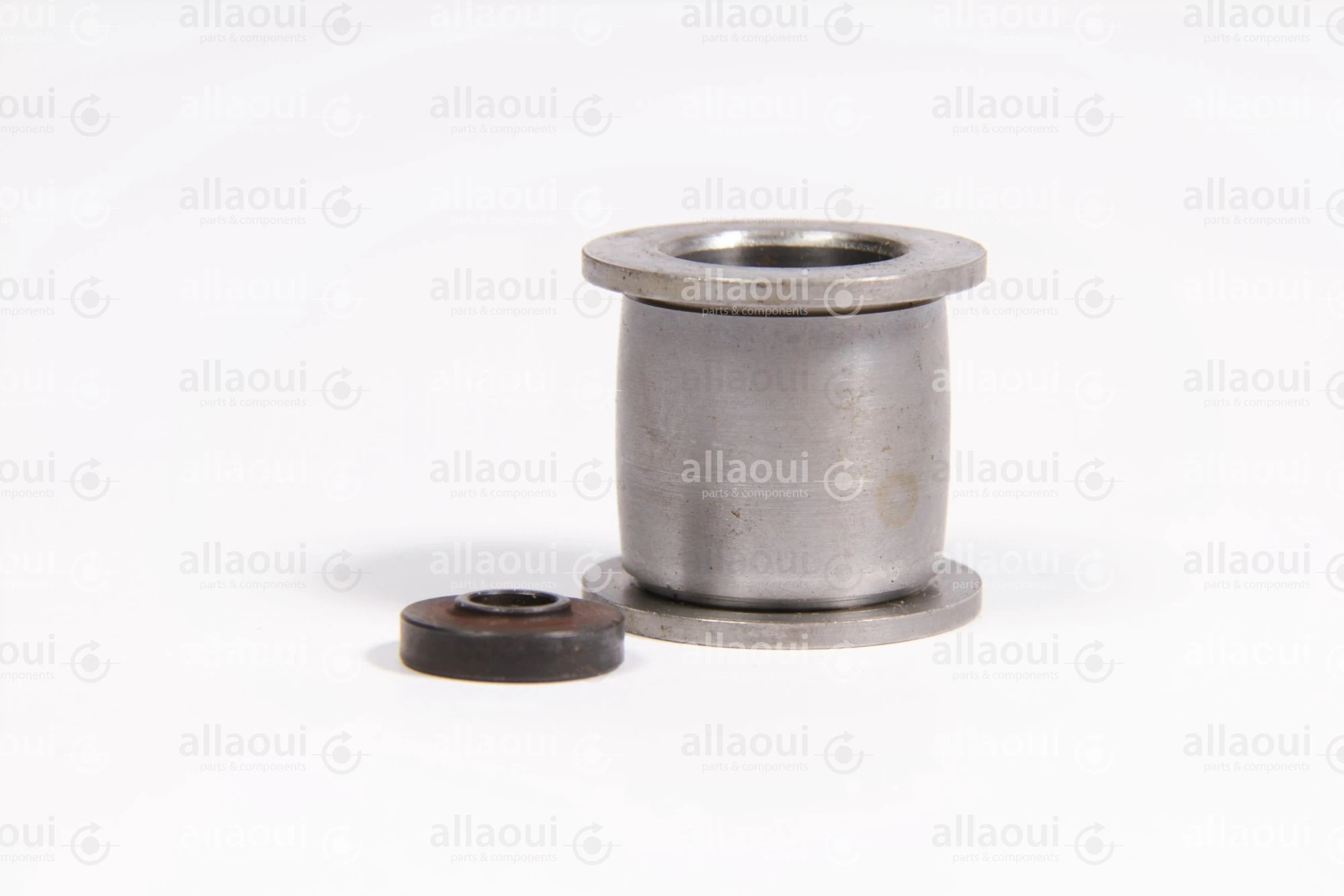 Manroland Pulley 16.31273-0006