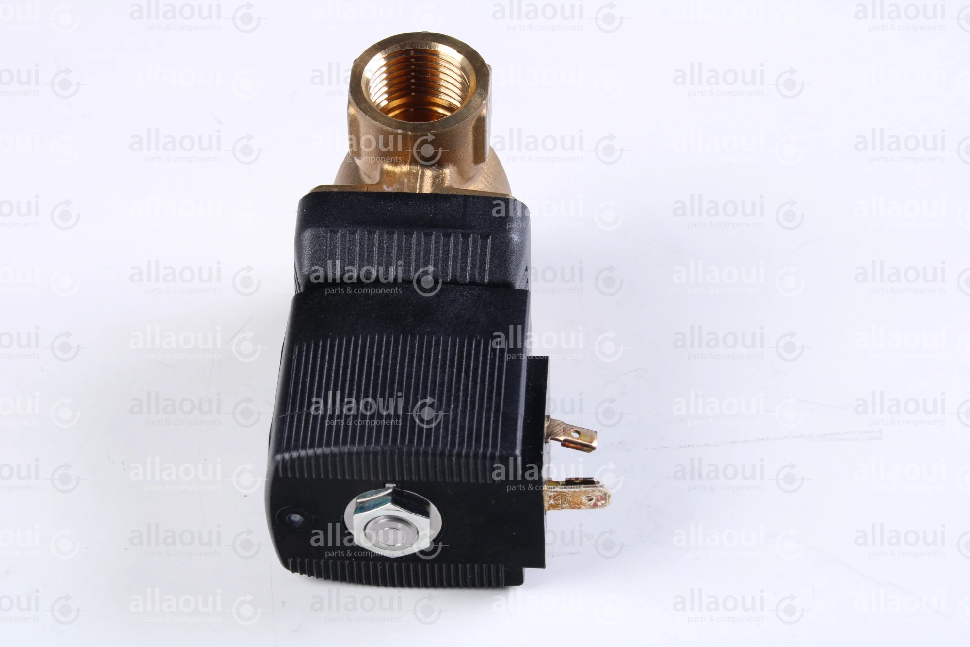 Technotrans Solenoid Valve 00176690