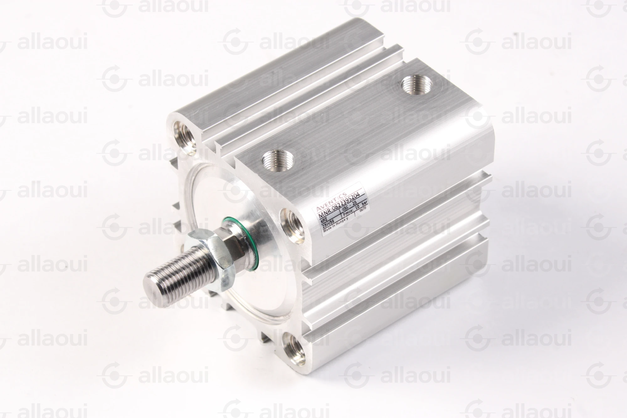 Bosch Rexroth Cylinder 0822395204