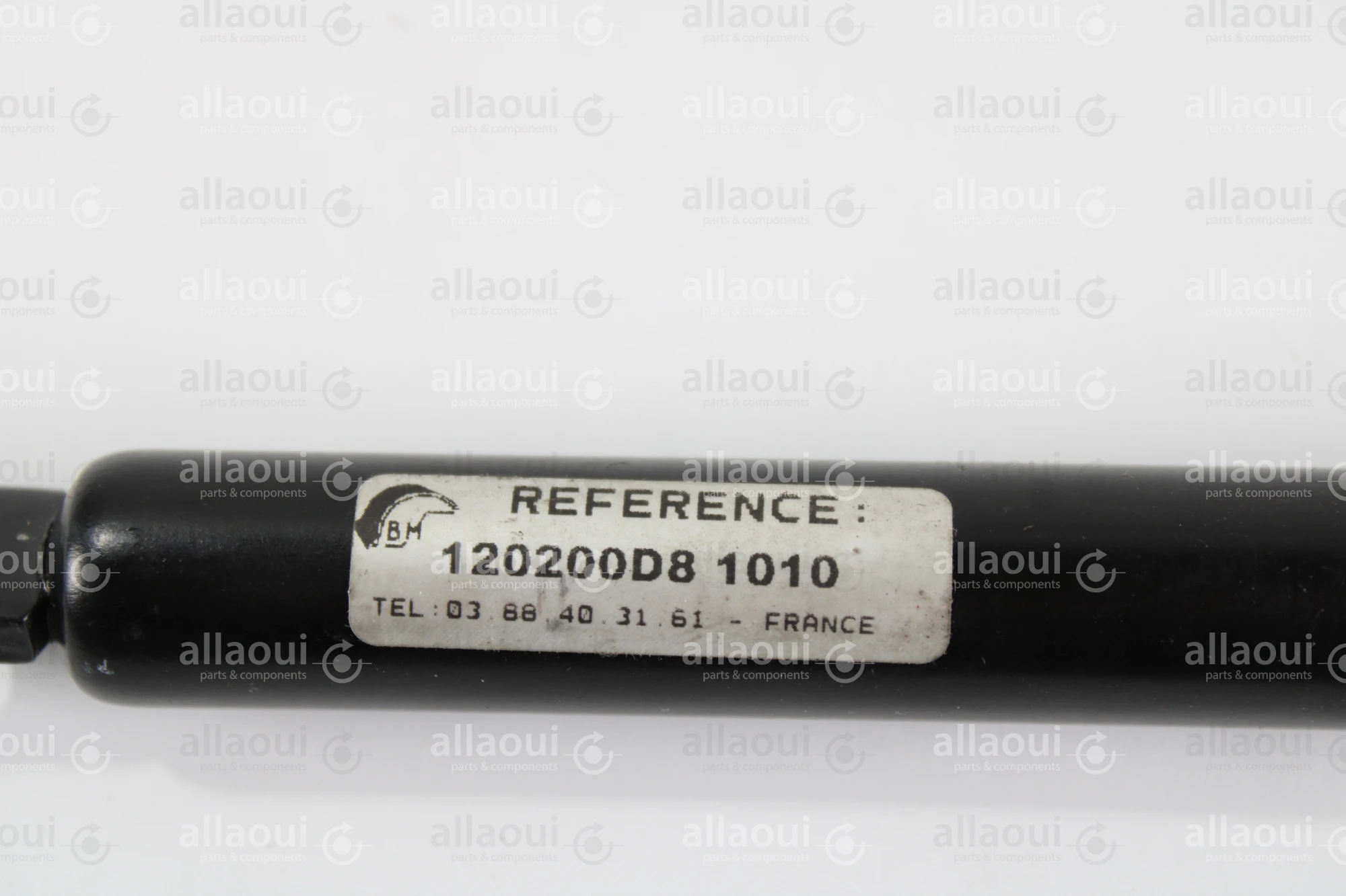 Berthold Marx Gas Spring 120200D8-1010