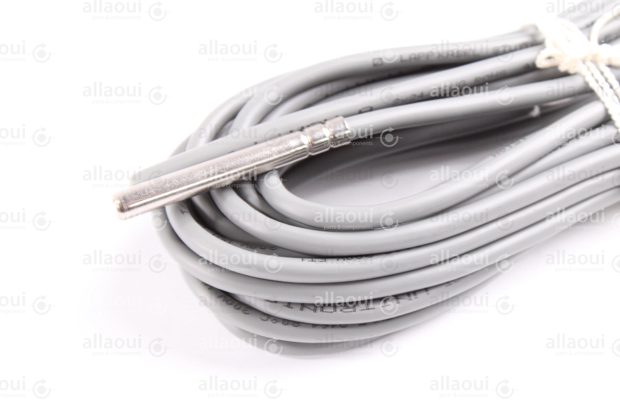 Technotrans Temperature Sensor 065066137